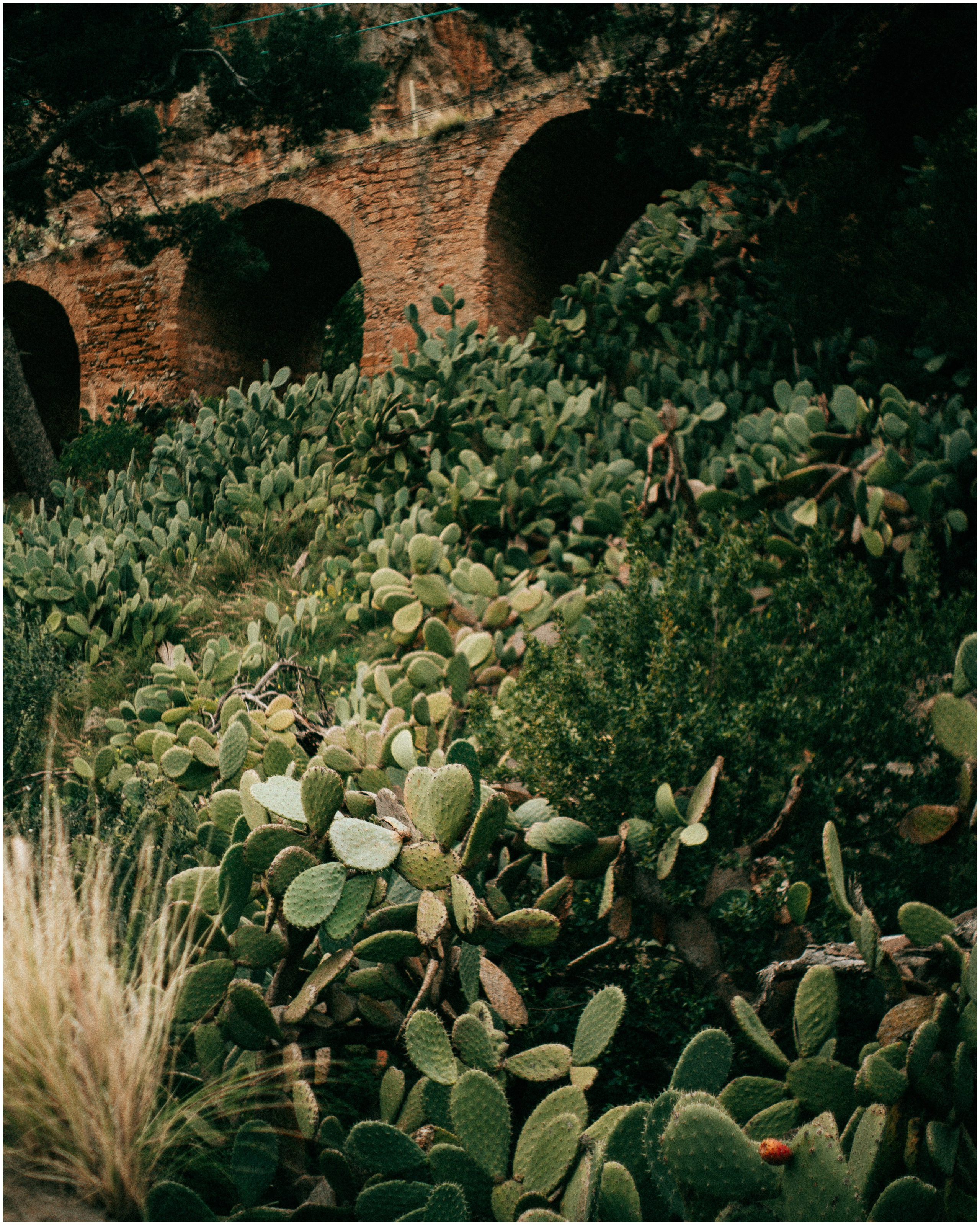 PALERMO. Photographer Inna Mendelson