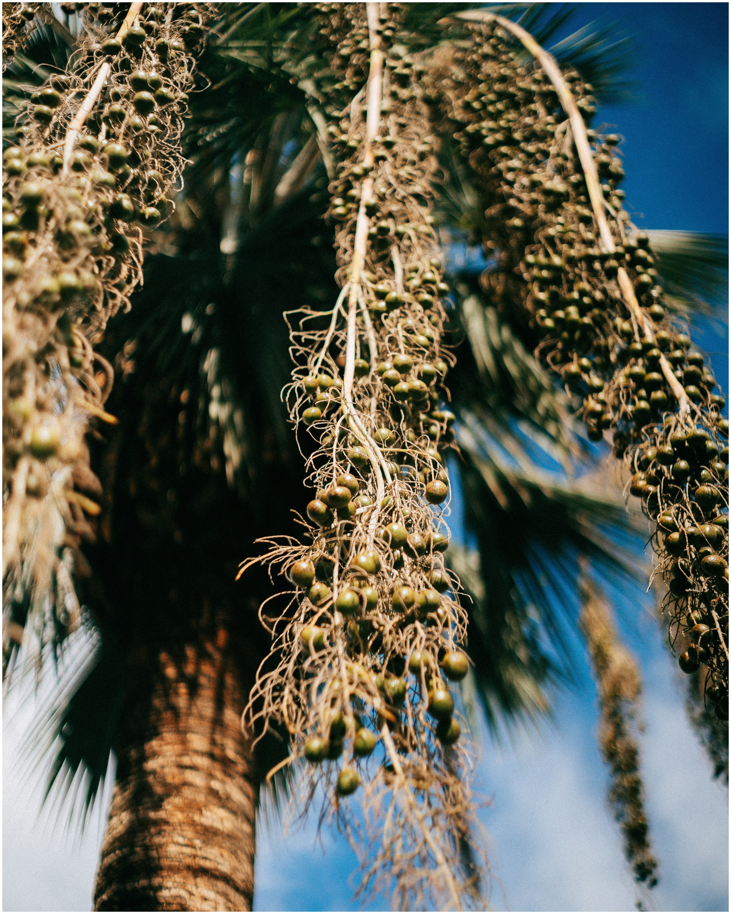 PALERMO. Photographer Inna Mendelson