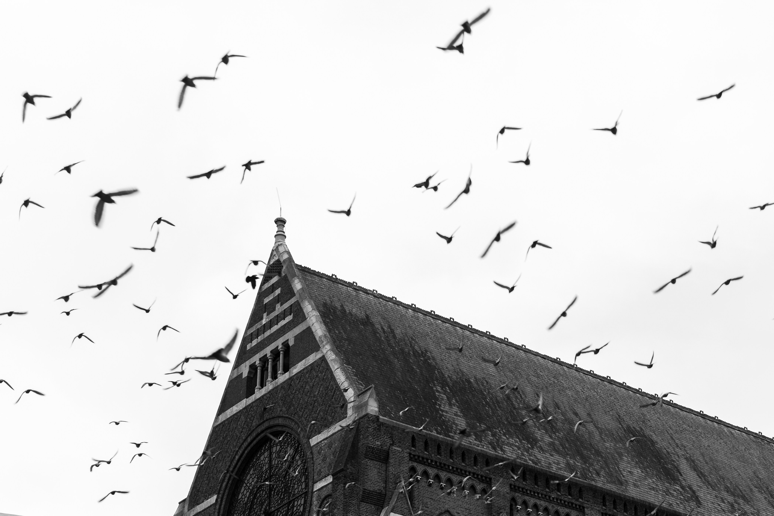 Brighton. Photographe à Genève - Eugenia Andres