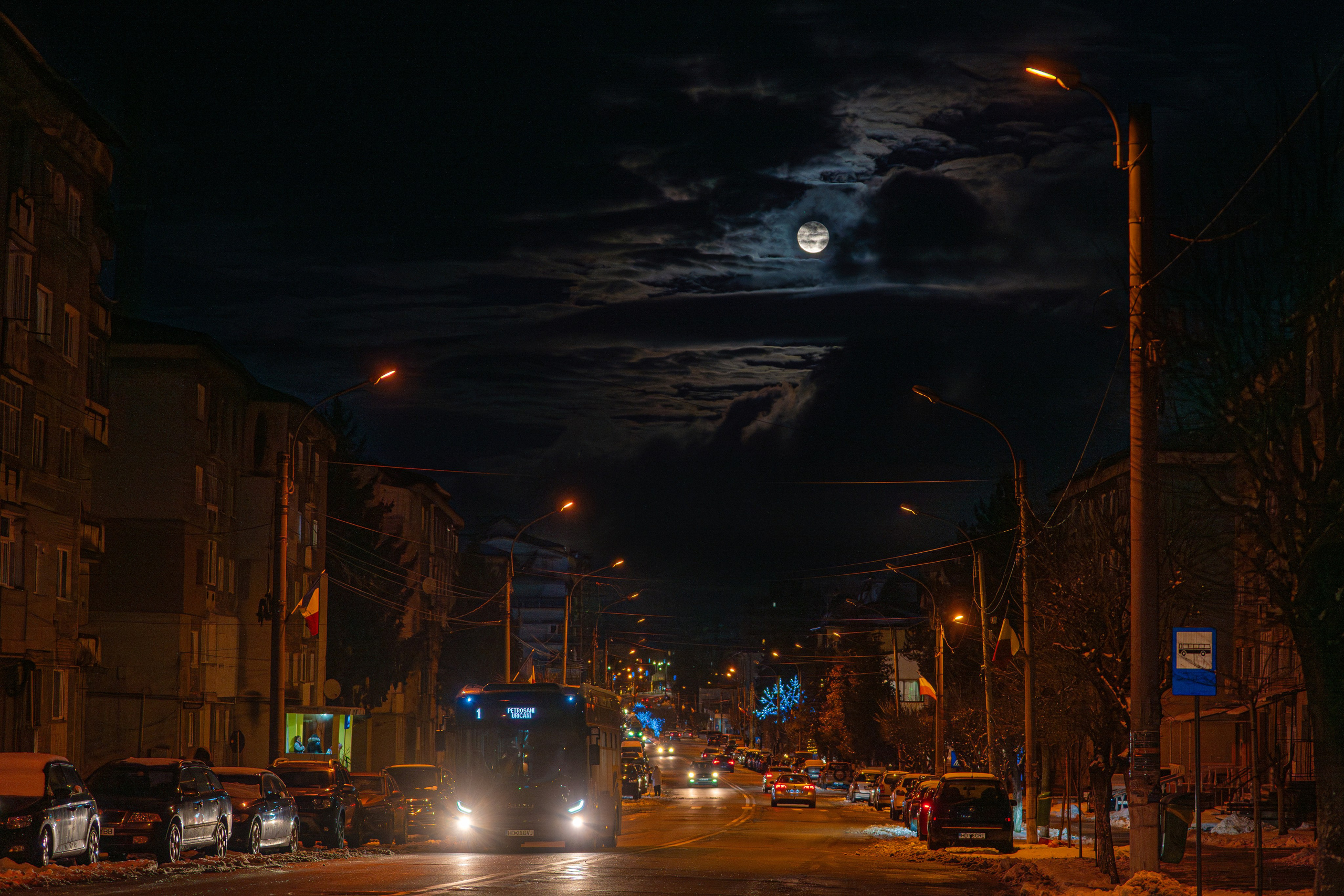 Nature. Alecsandru Braicu — Sports Photographer