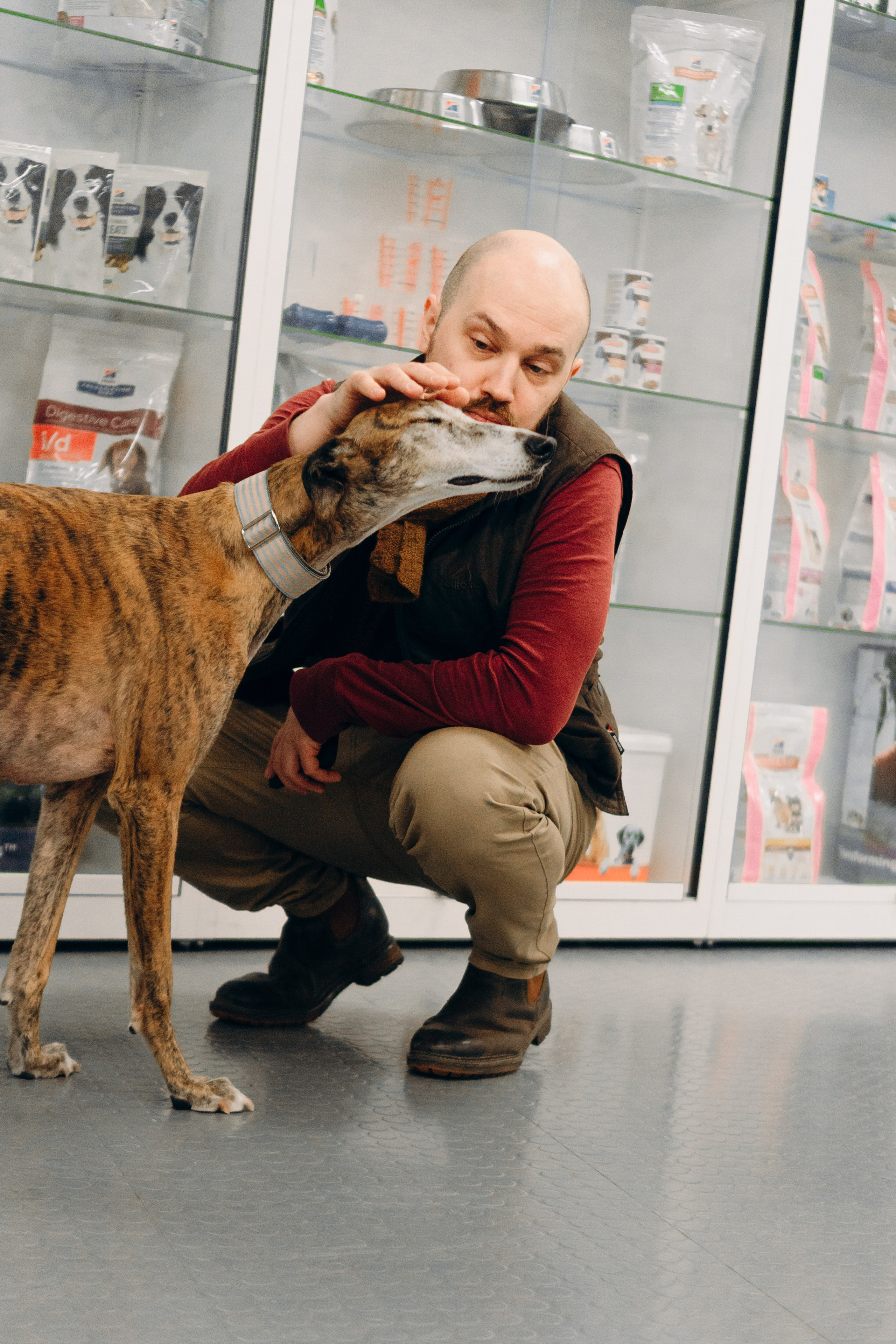 GalgoTreff / PetCity Rannamõisa, 13 apr. 2025. Kat Laisaar — Pet photographer in Tallinn