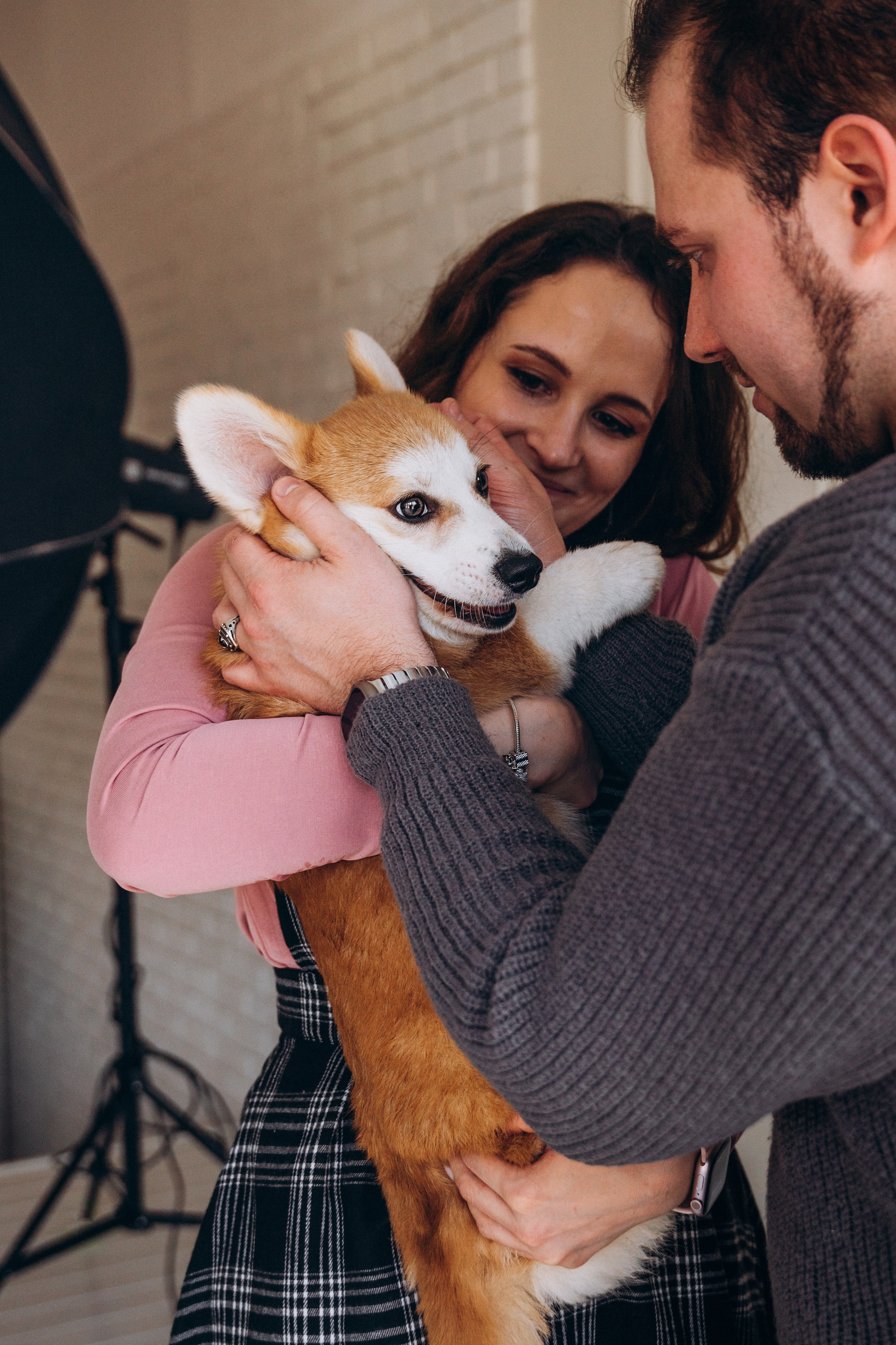 Mars & his Family. Kat Laisaar — Pet photographer in Tallinn
