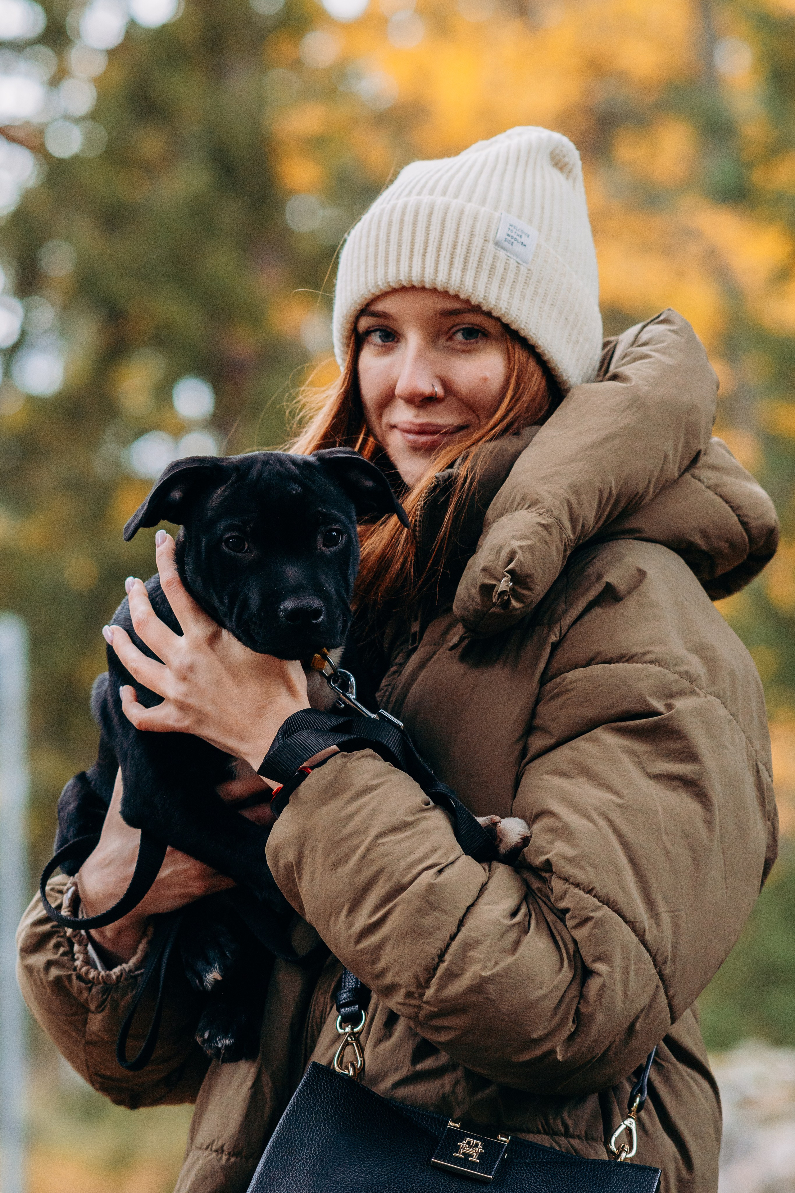 Staffordshire Bull Terriers Meetup. Kat Laisaar — Pet photographer in Tallinn
