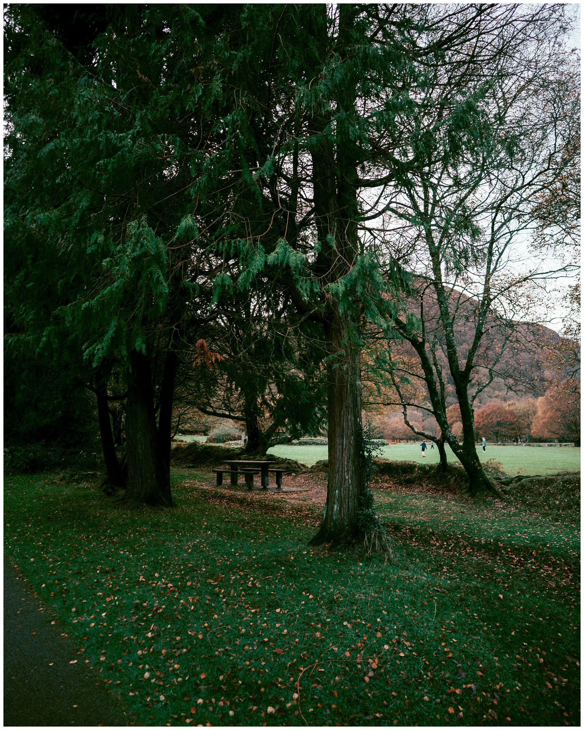 IRELAND. Inna Mendelson — Photographer