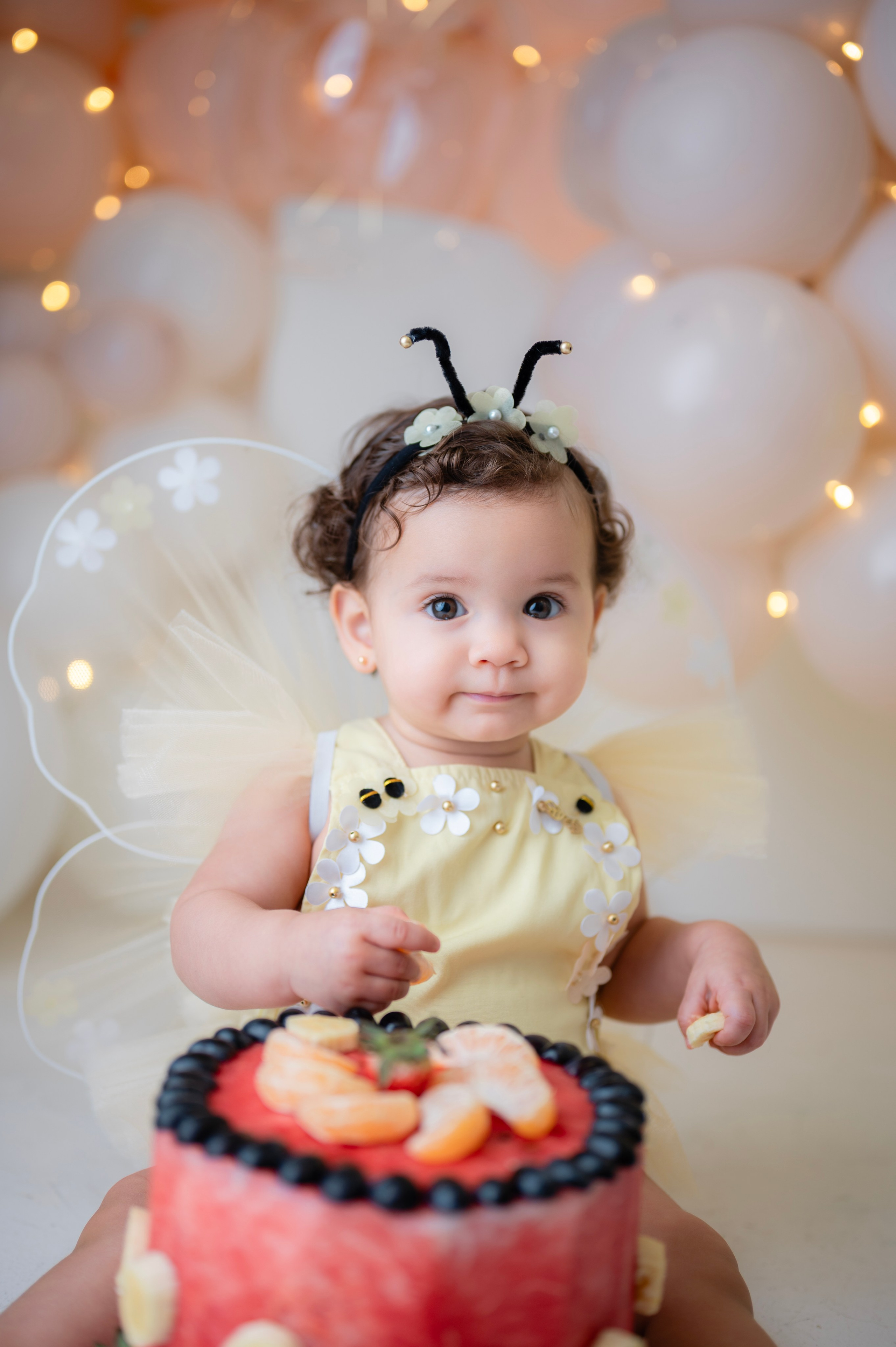 Smash. Fotografamos famílias, gestantes, bebês e ensaios individuais