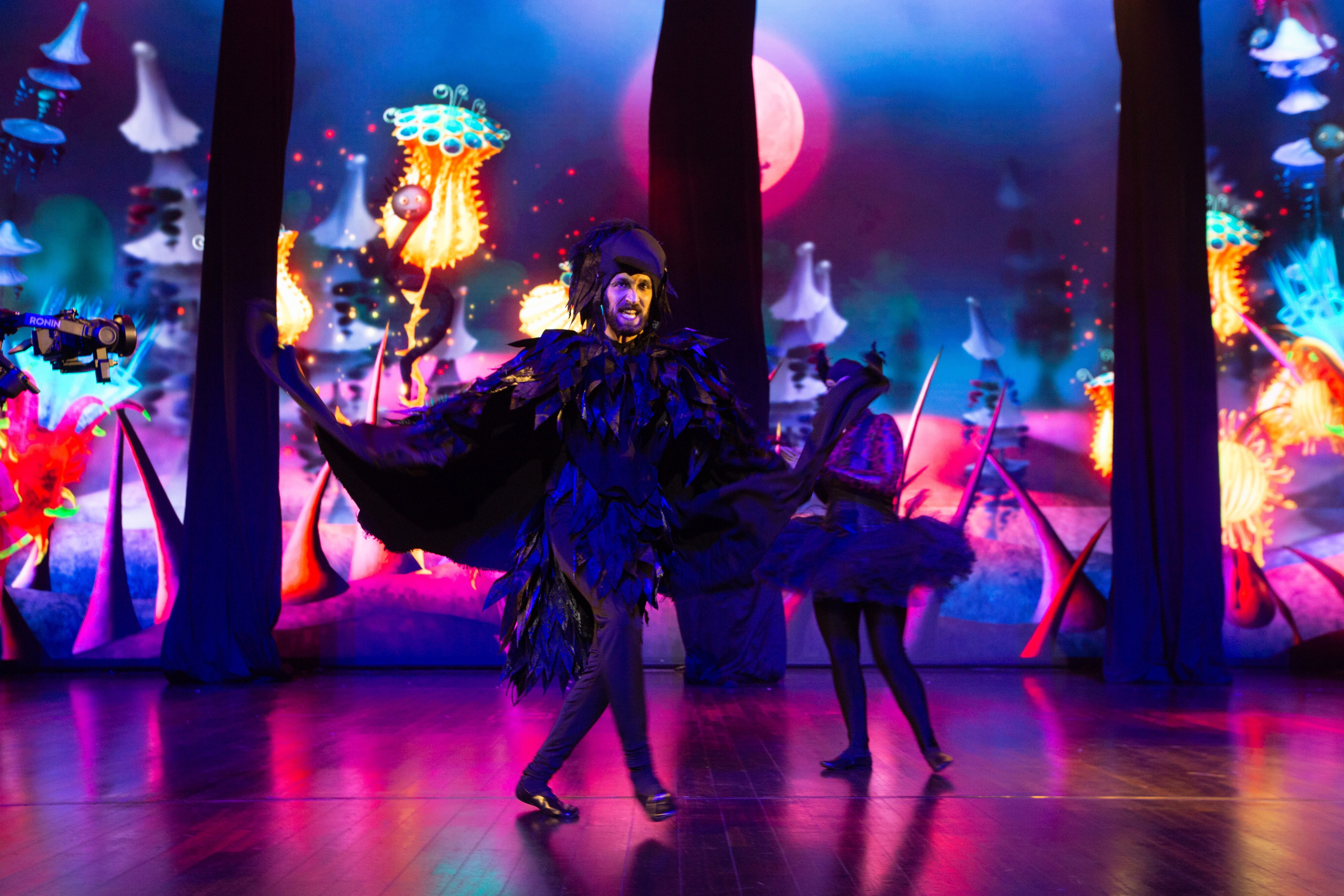 CIRTDAN SHOW. Wedding&Event photographer Ismail Rzayev in Baku