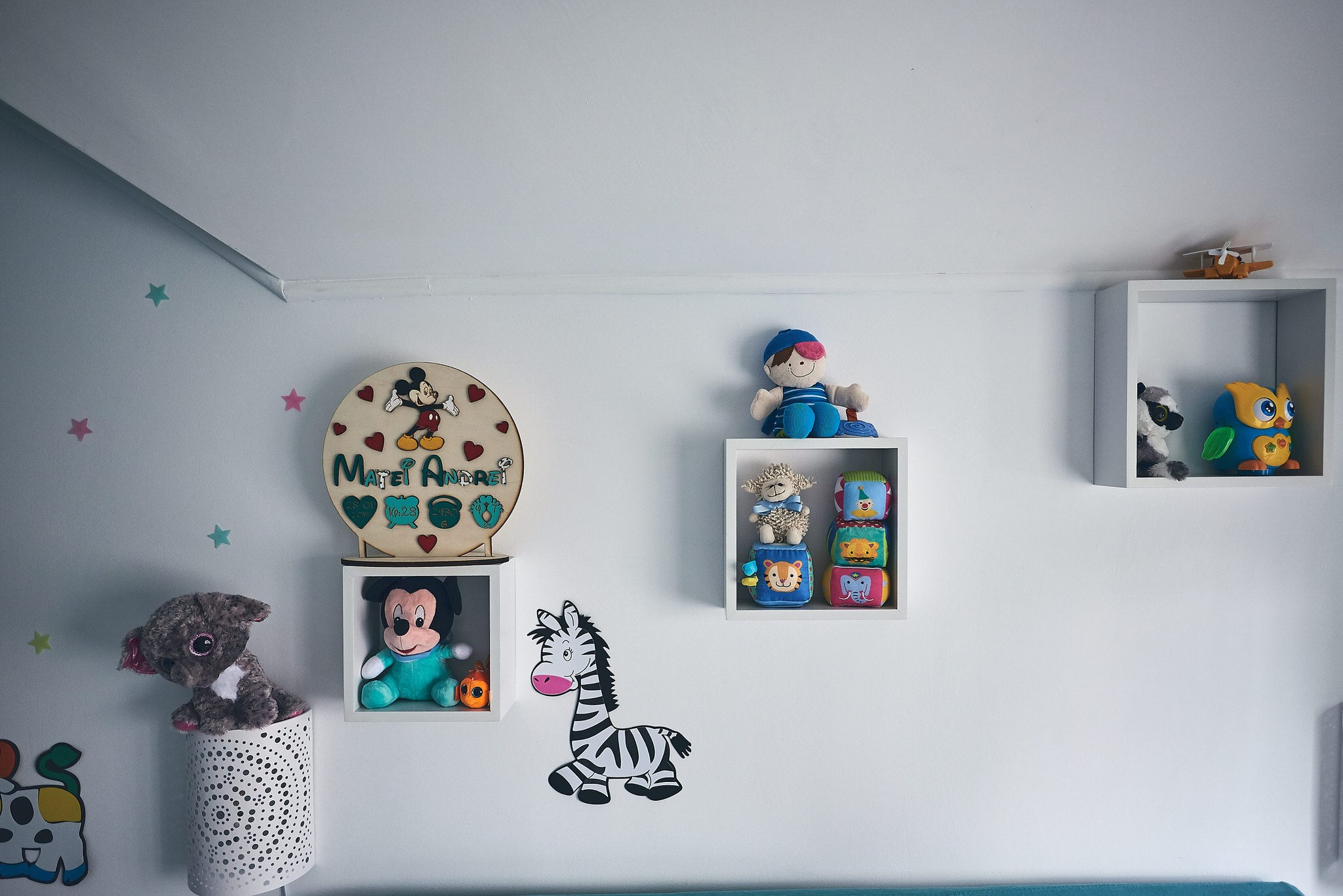 Matei Andrei. Georgescu Alexandru Fotograf