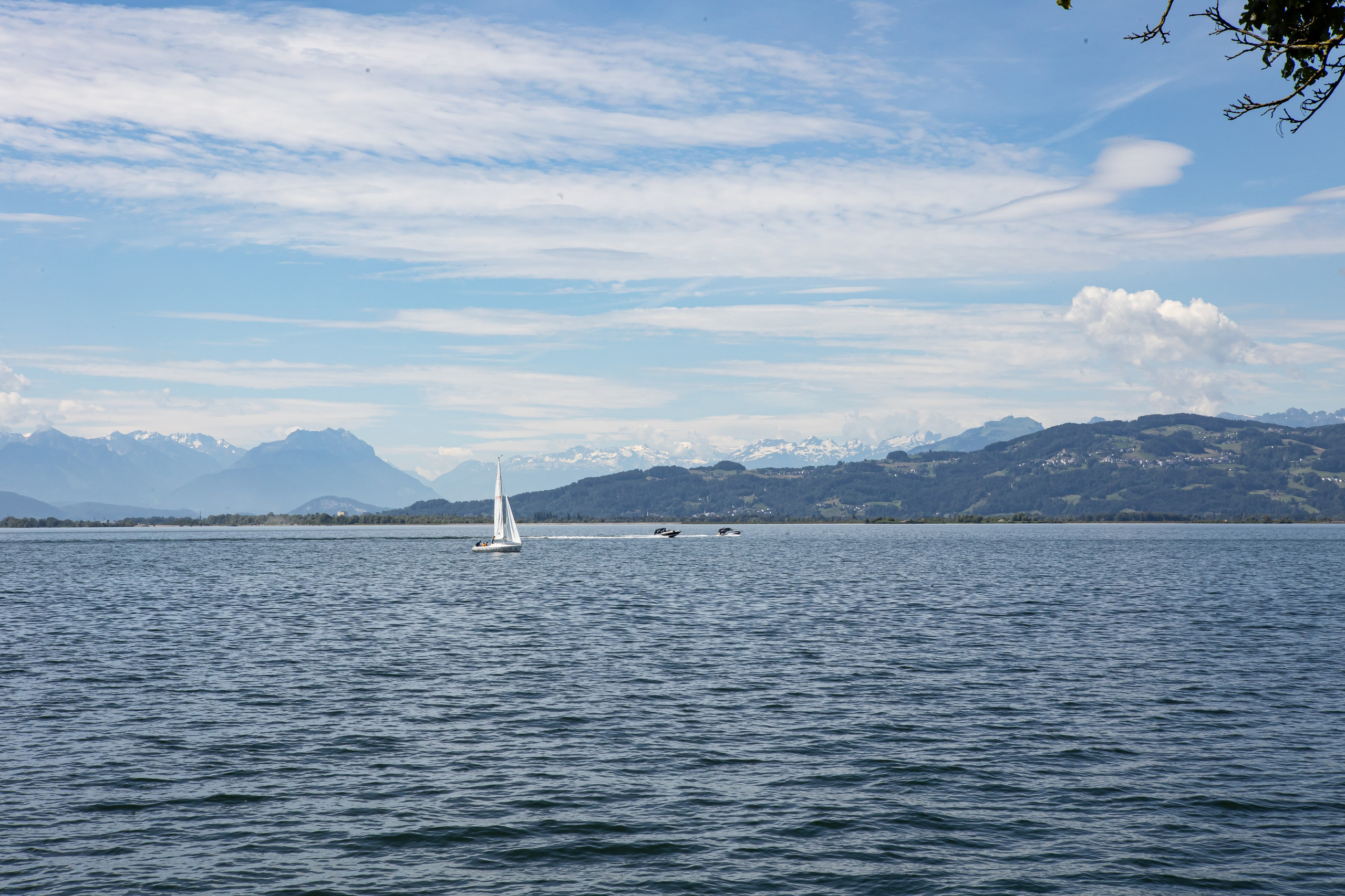 <img src="bild1.jpg" alt="Lindau Insel Fotografie kaufen"><img src="bild2.jpg" alt="Lindau Bodensee Bilder"><img src="bild3.jpg" alt="Lindau Altstadt Fotos kaufen"><img src="bild4.jpg" alt="Lindau Hafen Fotodruck"><img src="bild5.jpg" alt="Lindau Uferpromenade Wandbilder"><img src="bild6.jpg" alt="Lindau Kunstfotografie kaufen"><img src="bild7.jpg" alt="Lindau Leuchtturm und Löwe Bilder"><img src="bild8.jpg" alt="Lindau Innenstadt schöne Bilder"><img src="bild9.jpg" alt="Lindau Landschaftsfotografie kaufen"><img src="bild10.jpg" alt="Lindau Bodensee Fotos als Deko">