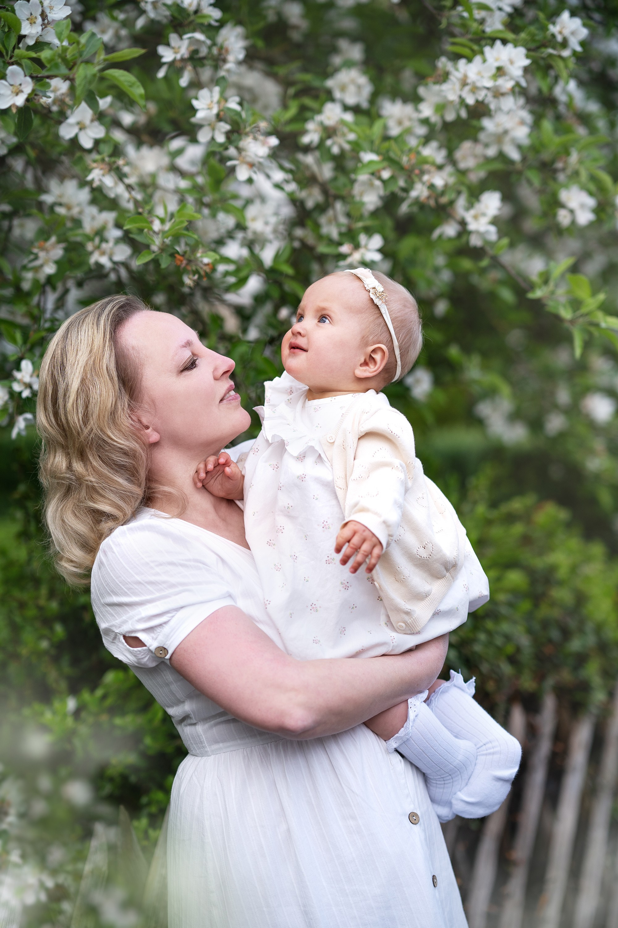 Familie. Hochzeit und Familien Foto und Video