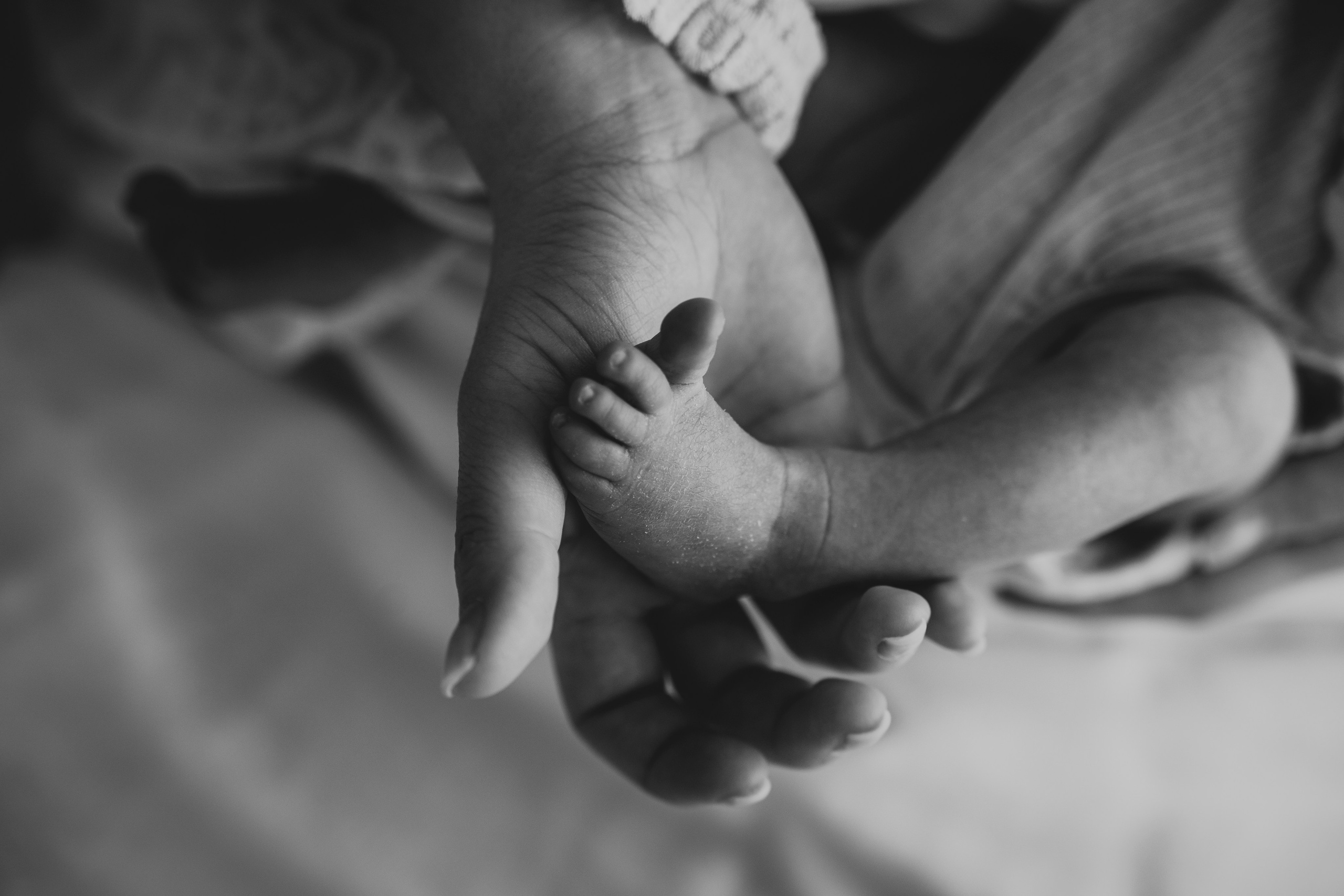 Newborn. Fotografo di famiglia, neonati, maternity, ritratti, matrimoni, cerimonie, Rimini