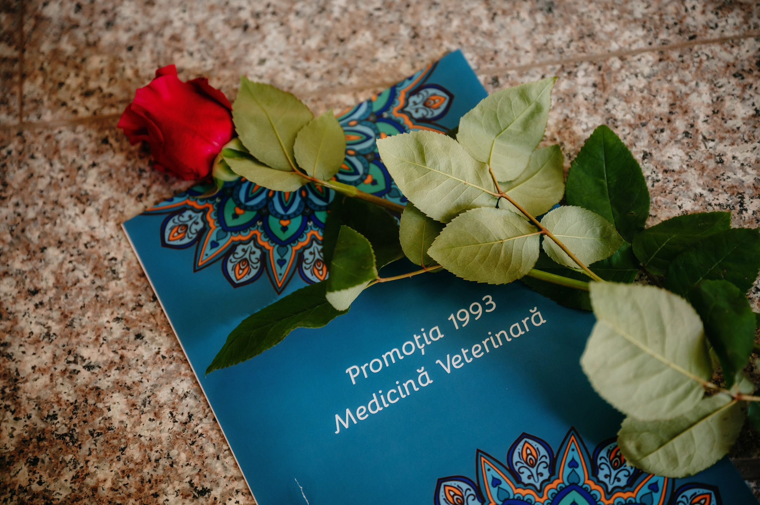 Medicina Veterinara — dupa 30 de ani…. Laurentiu Stefan StoryTeller