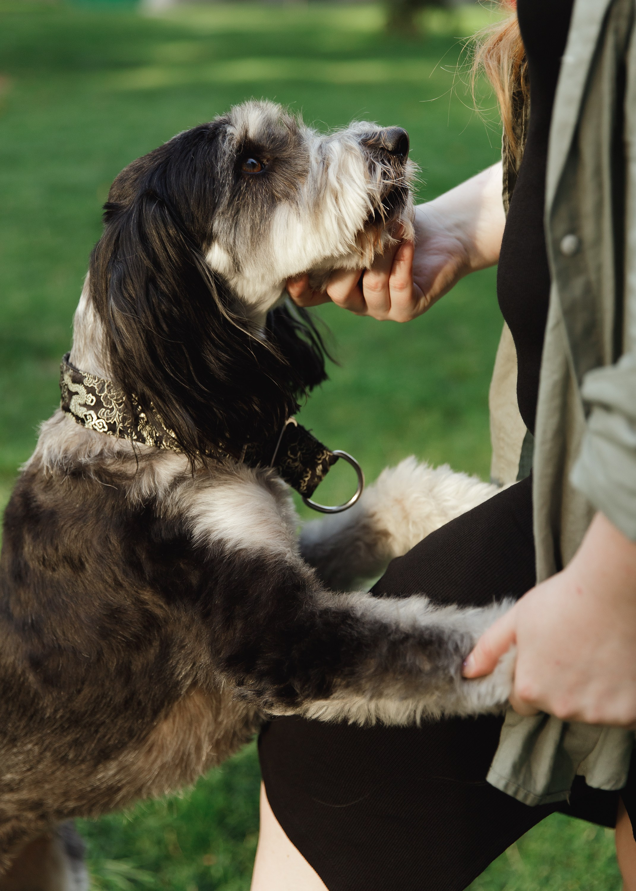 Lera & Flora. Kaja | fotograf we Wrocławiu | ludzie i psy