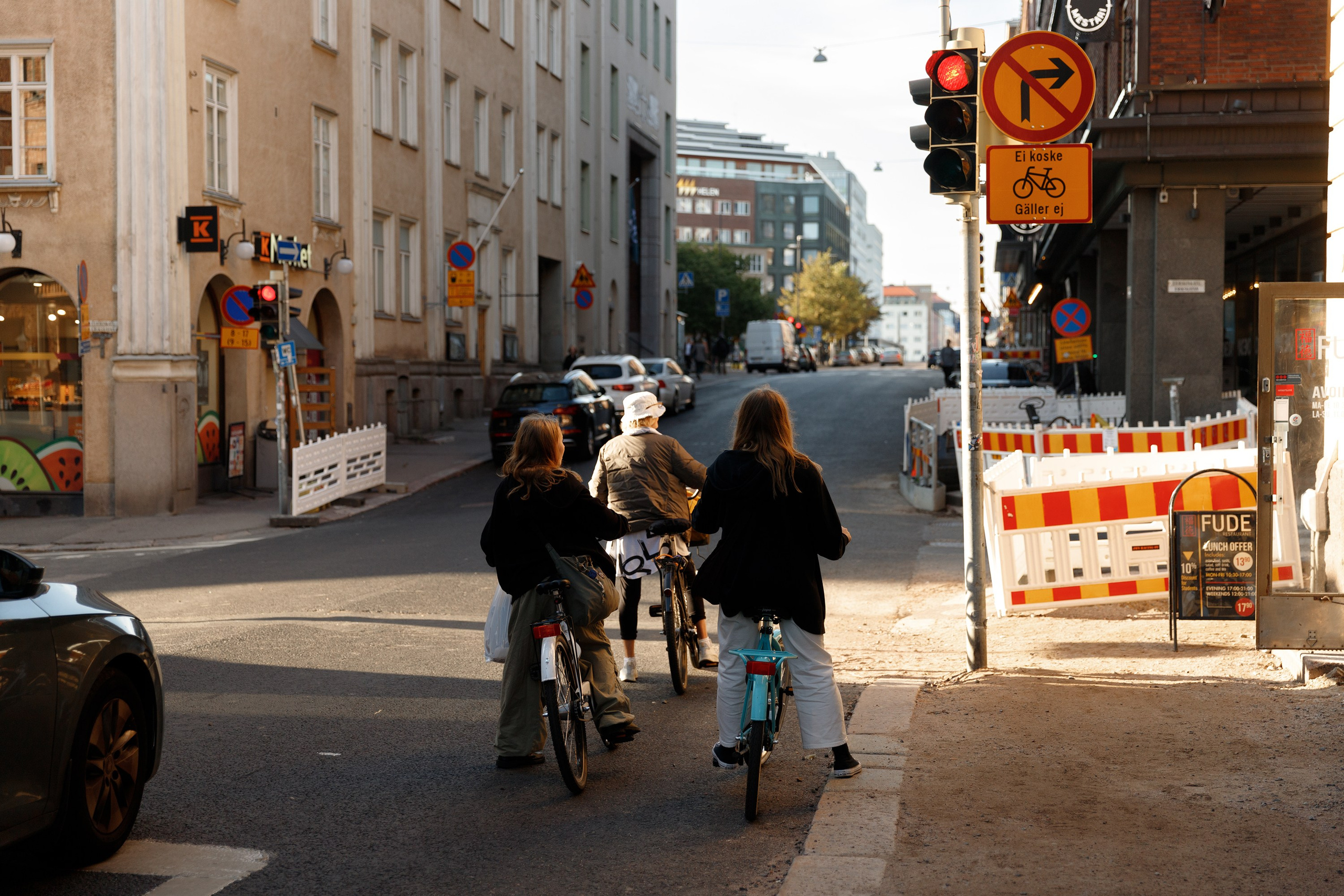 Helsinki. Kaja | fotograf psów we Wrocławiu