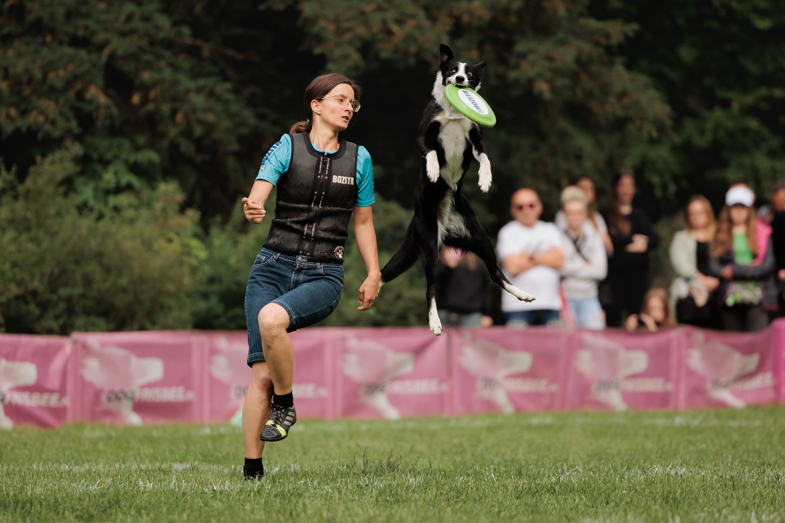 Latające psy, Wrocław'25. Kaja | fotograf psów we Wrocławiu