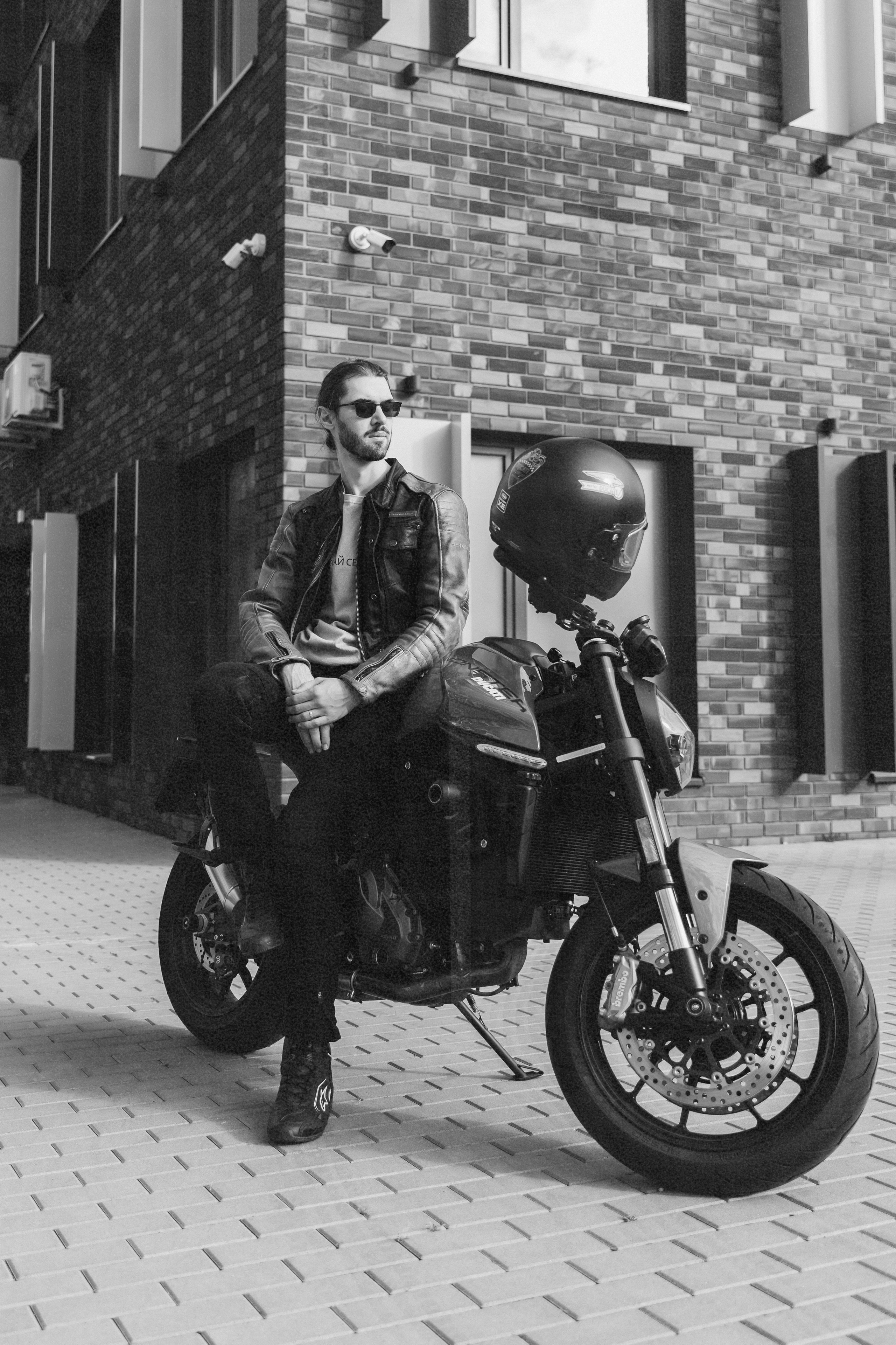 Alex. Kaja | fotograf psów we Wrocławiu