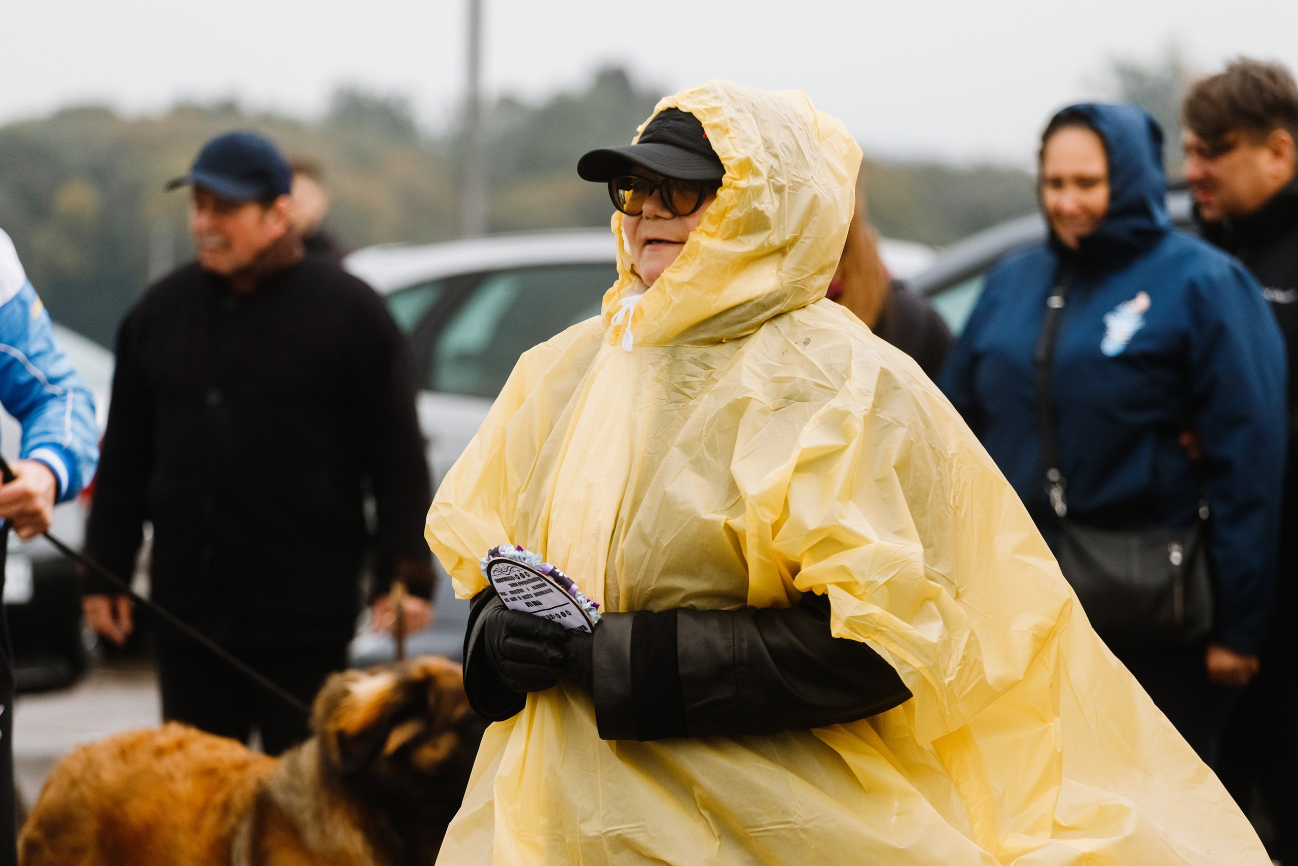 Rainy dog show in Grodno. Kaja | fotograf we Wrocławiu | ludzie i psy