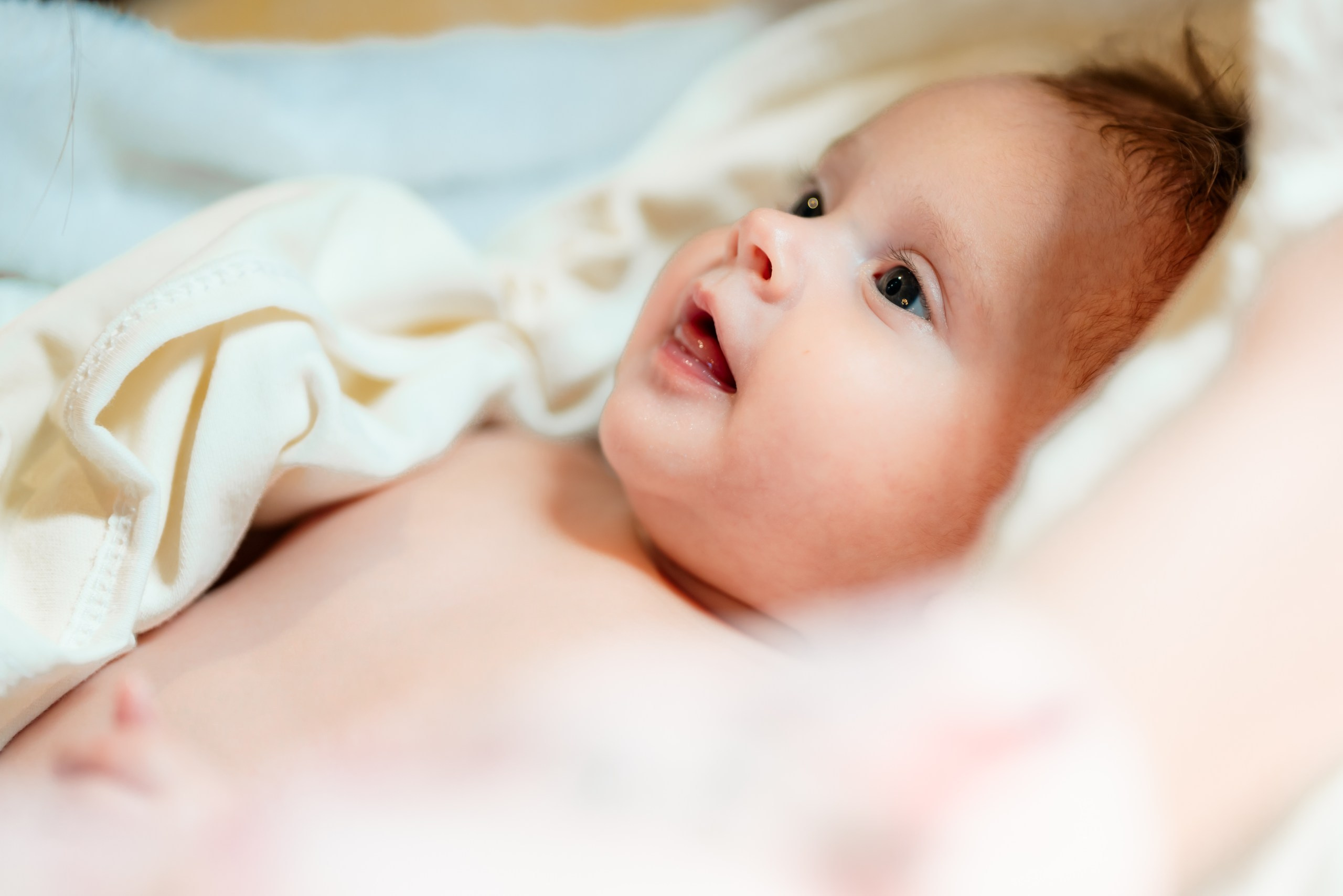 fotograf botez Miruna Parascheva, fotografie botez Botoșani, fotograf Alin Chirilă, amintiri botez, fotografii botez, botez Miruna Parascheva, fotograf copii, fotografie botez în Botoșani-alt="botez Miruna Parascheva, fotografie botez Alin Chirilă, amintiri botez, fotografii emoționante botez Botoșani"-- fotografii-botez-bebelus- amintiri-botez-micuț- moment-sfânt-crestinare- fotografie-emotionanta-botez- detalii-botez-bebelusi- parinti-fericiti-la-botez- fotograf-botez-profesionist- botez-in-biserica-ortodoxa- micuț-botezat-cu-emoție- zâmbete-și-lacrimi-la-botez- bebeluș-la-cristelniță- decor-botez-colorat- botez-cu-dragoste-și-credință- emotie-pura-la-botez- fotograf-botez-botosani- botez-iasi-suceava-fotograf- amintiri-nepretuite-botez