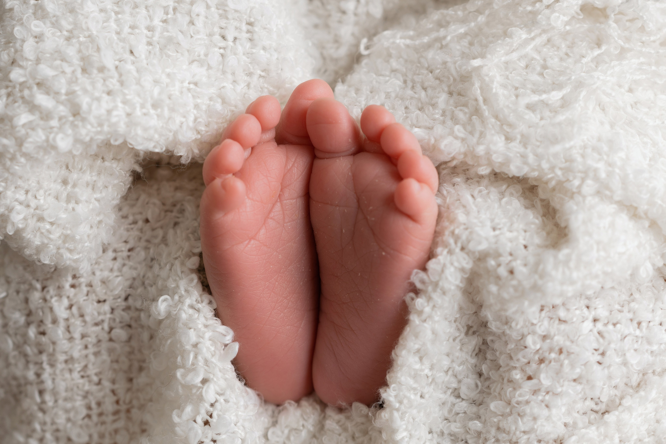 Newborn Classic. Family photographer in Bay Area, California