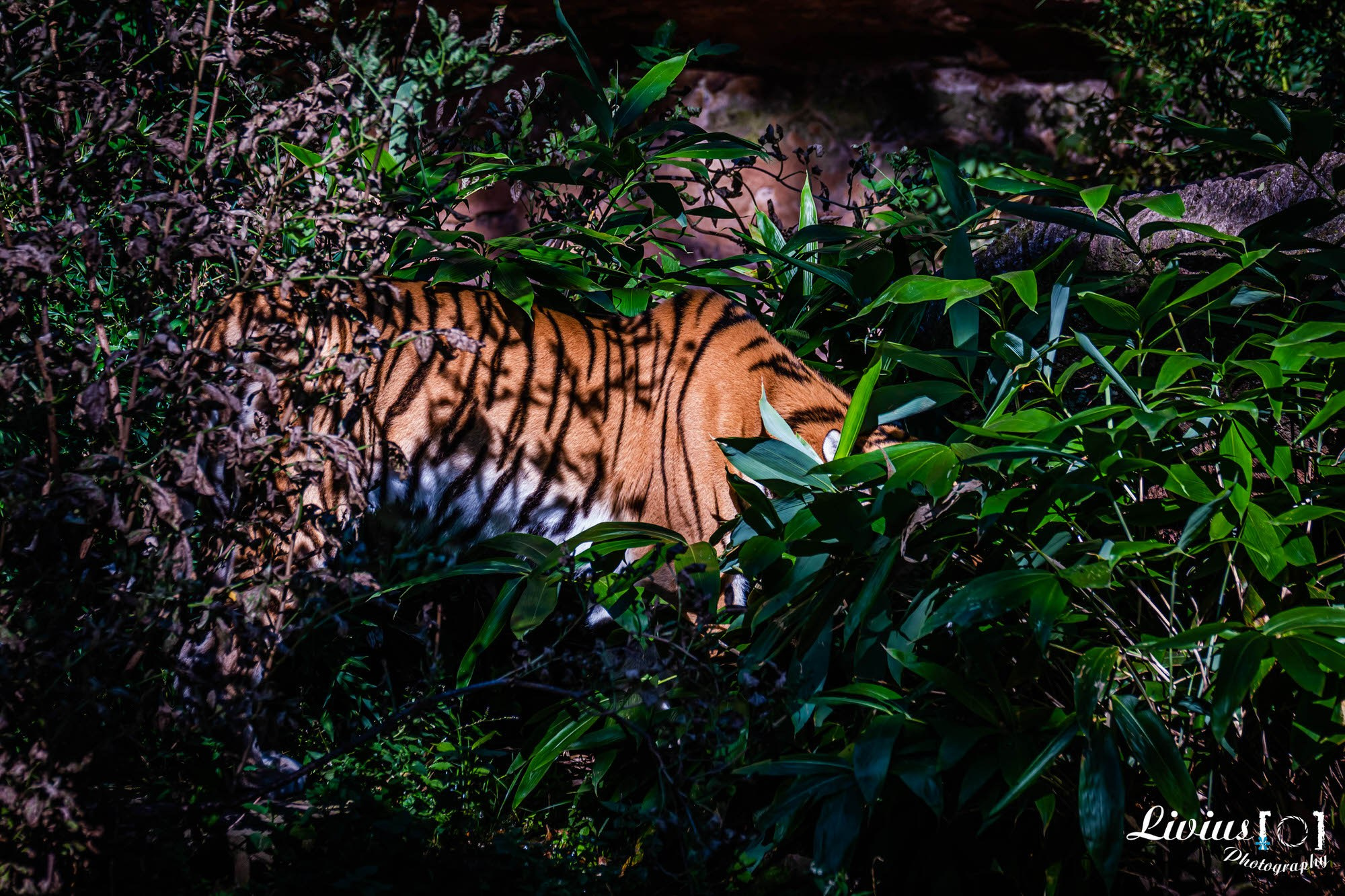Tierpark Nürnberg. FOTO KREATIV