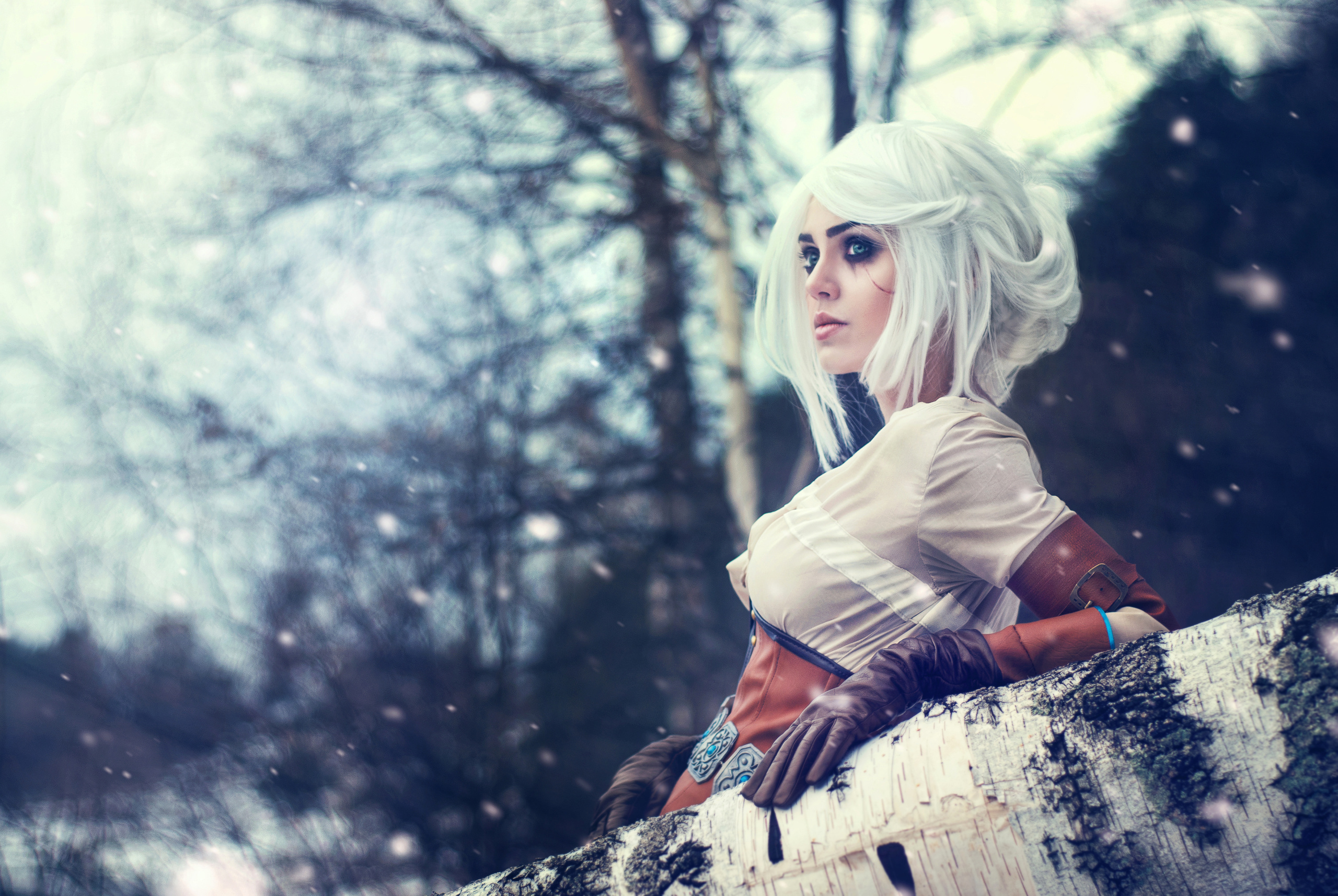 Cirilla — Witcher 3 (2014). Photographer and retoucher Elena Skullova