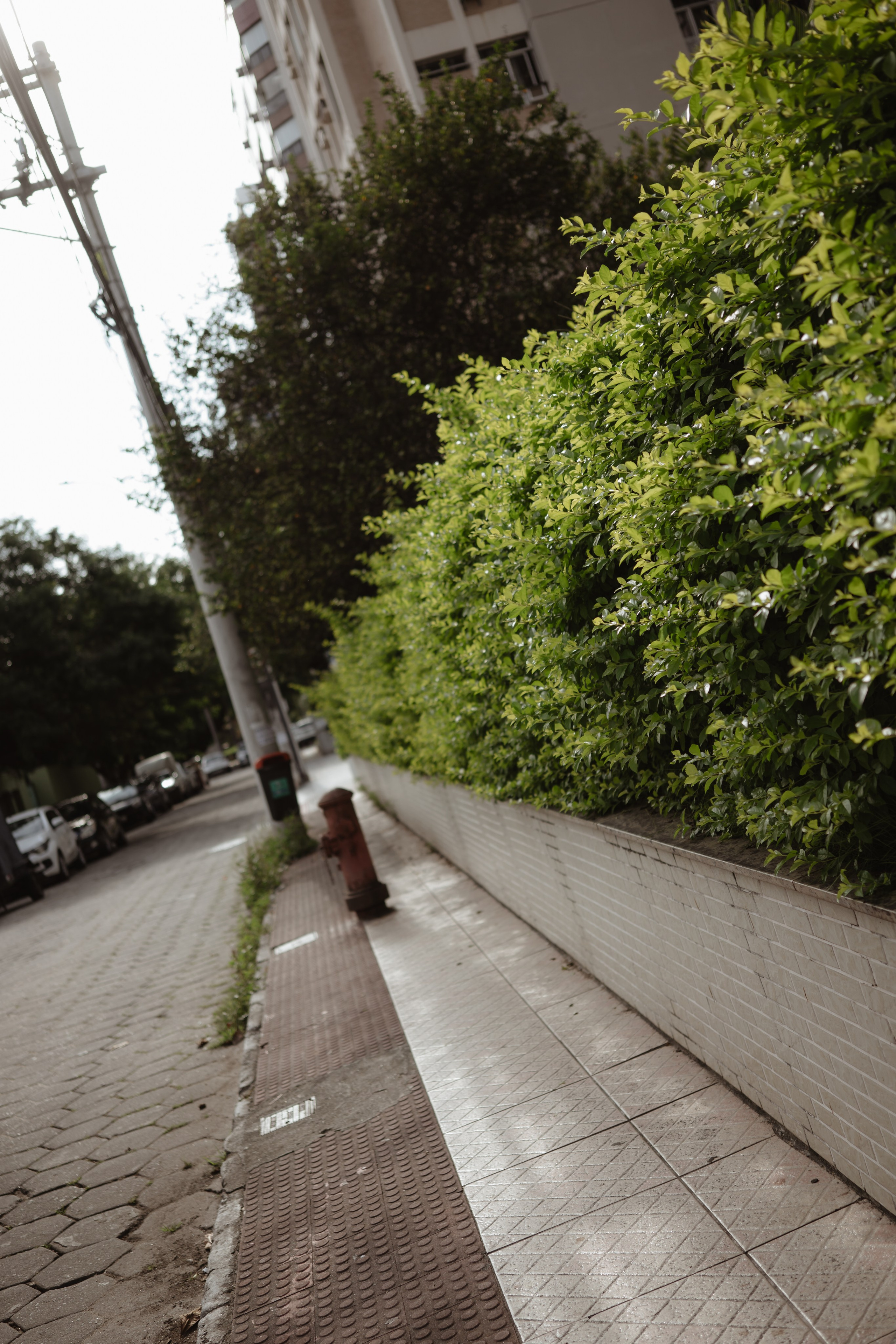 Marcella & Daniel | Vitória-ES. Lembrar não é só ver. É sentir de novo