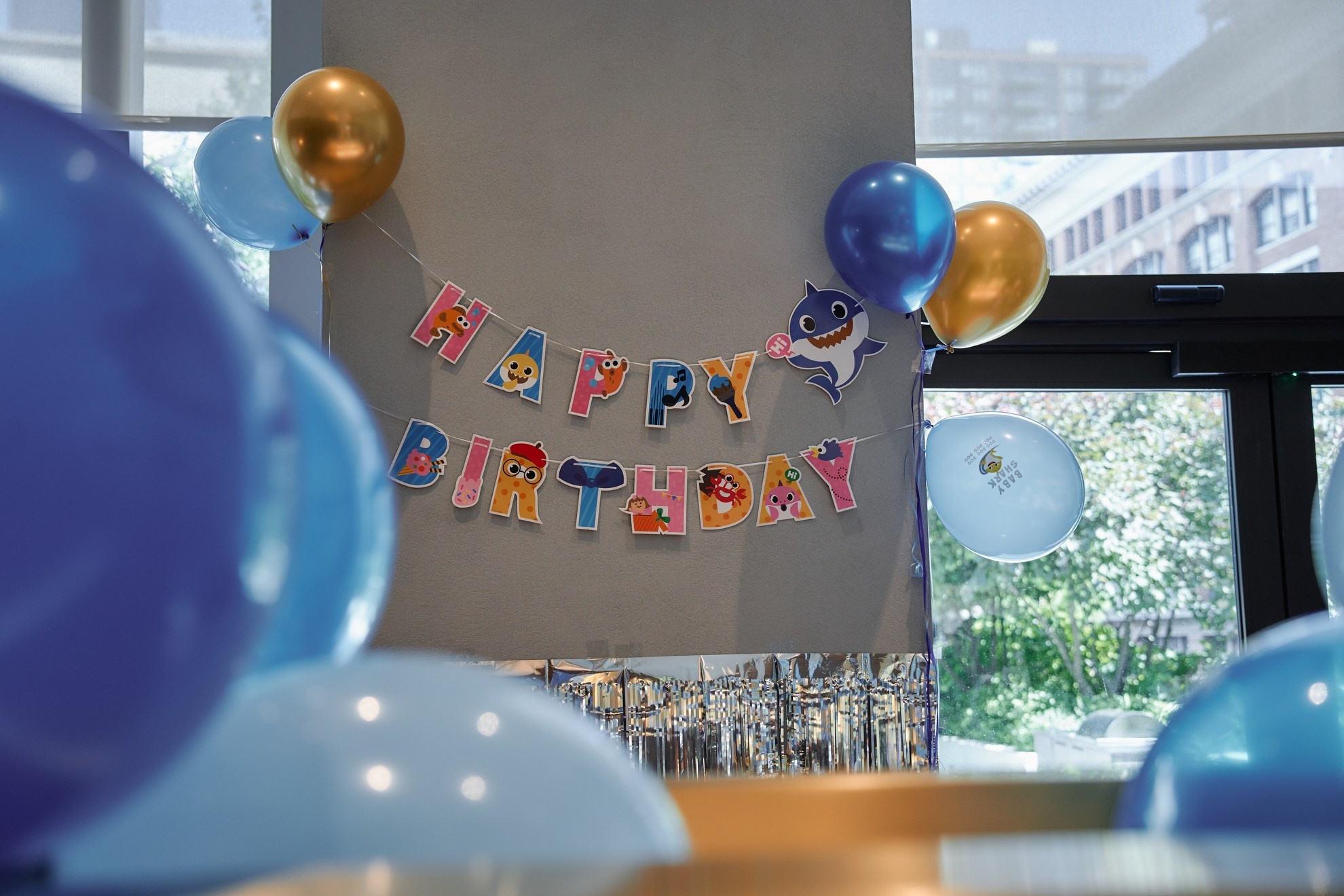 Nina’s First Birthday. Professional Wedding and event photographer USA New York