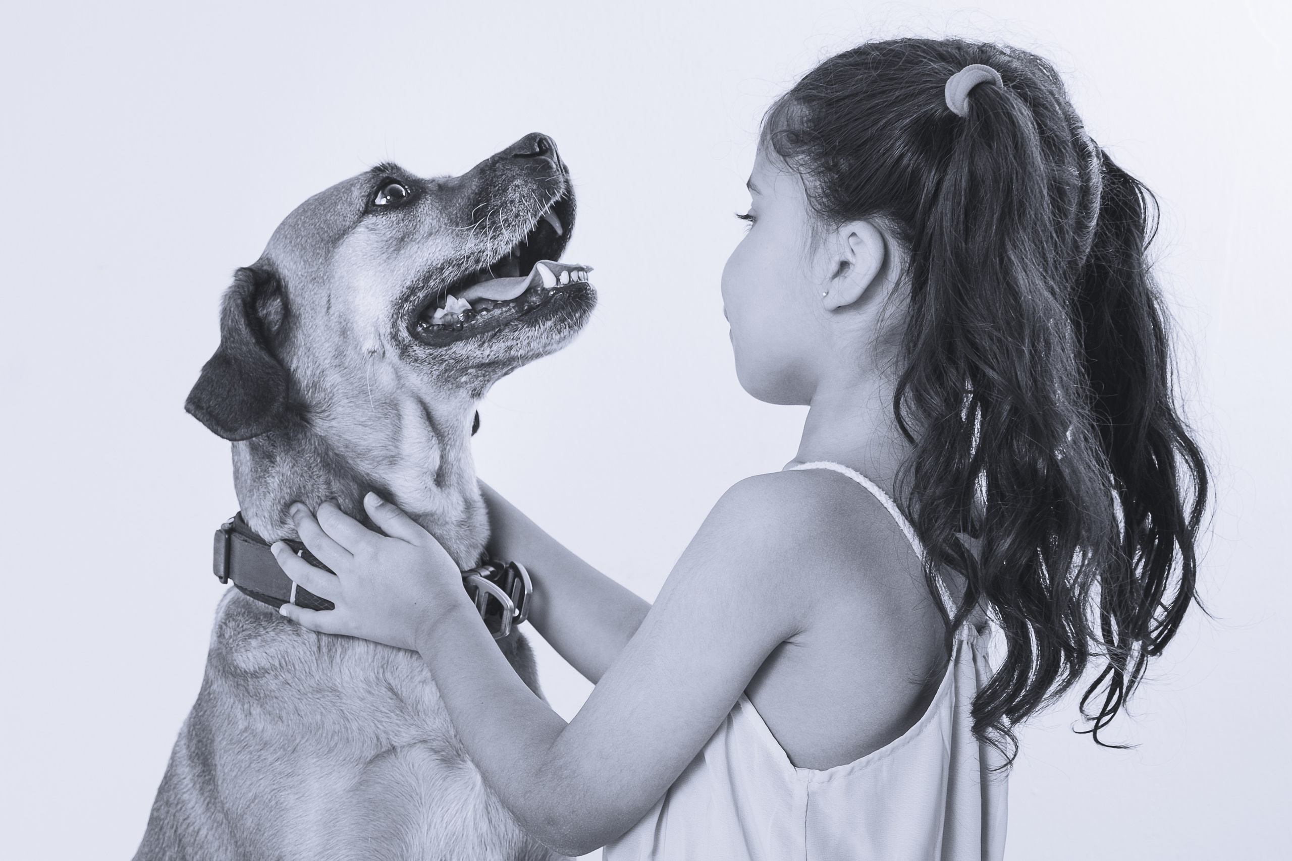 Sesiones fotográficas con mascotas en Gran Canaria | Migui Expressive