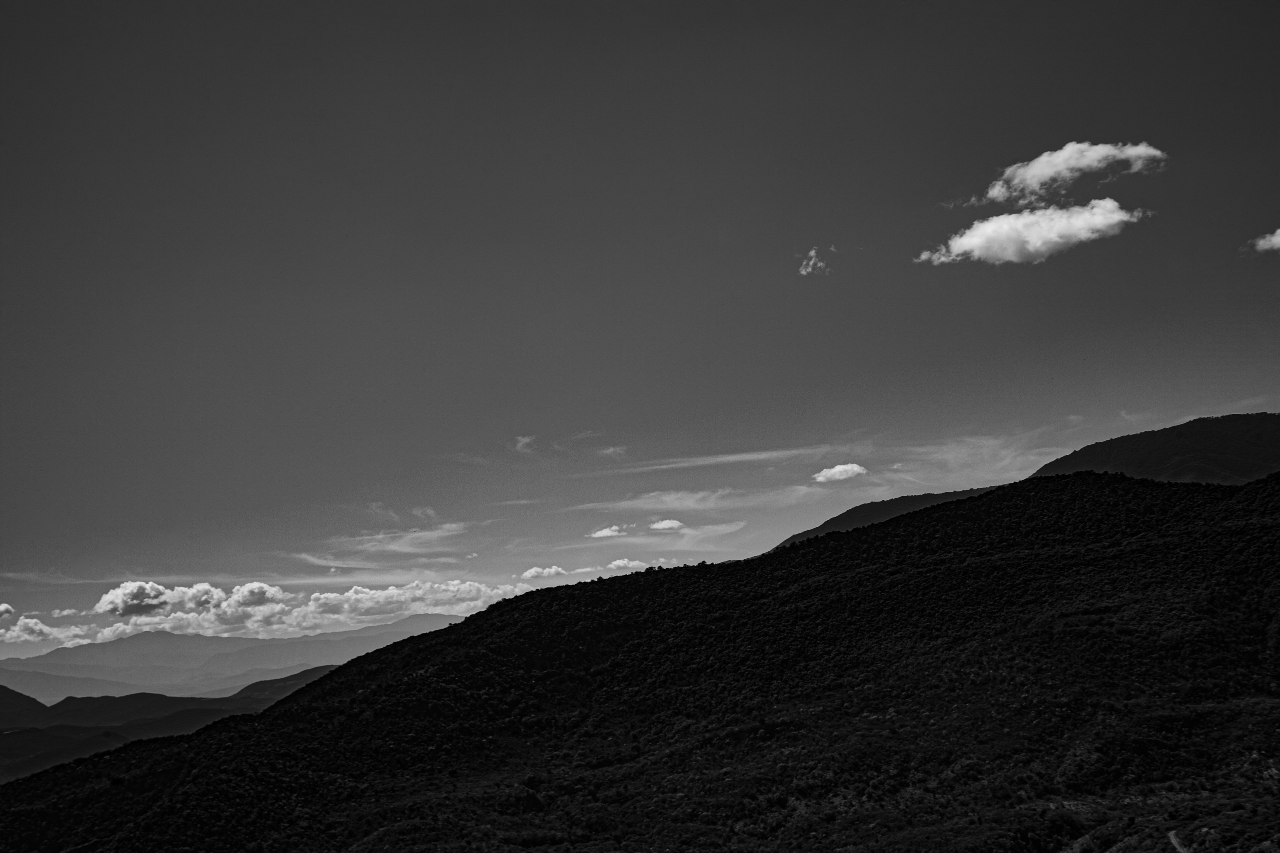 EXHIBITION. Lero Photographer and a set designer|individual custom portrait and advertising photography in Zutphen