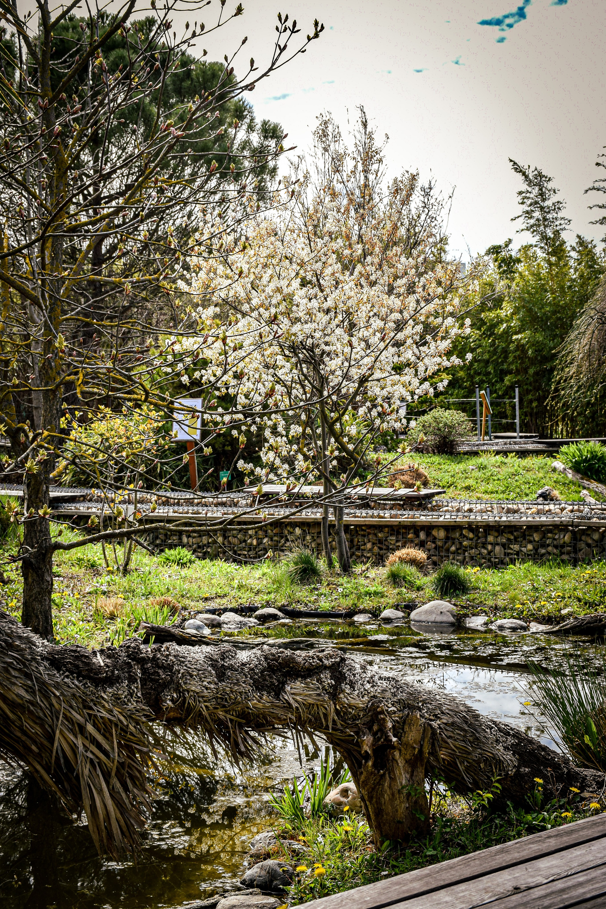 Hirschstetten Botanical Gardens
