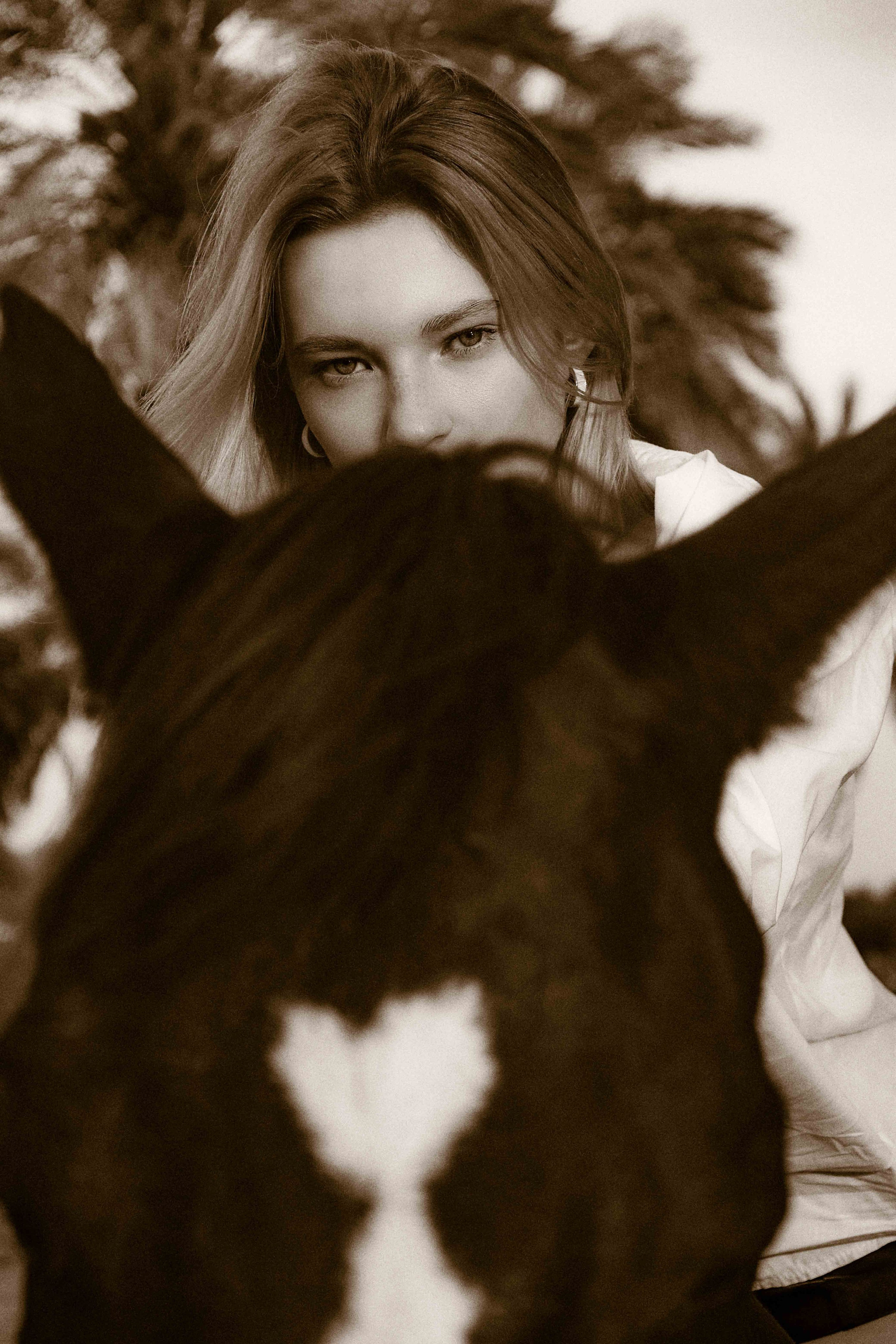 EMBRACING ELEGANCE. SDimagery