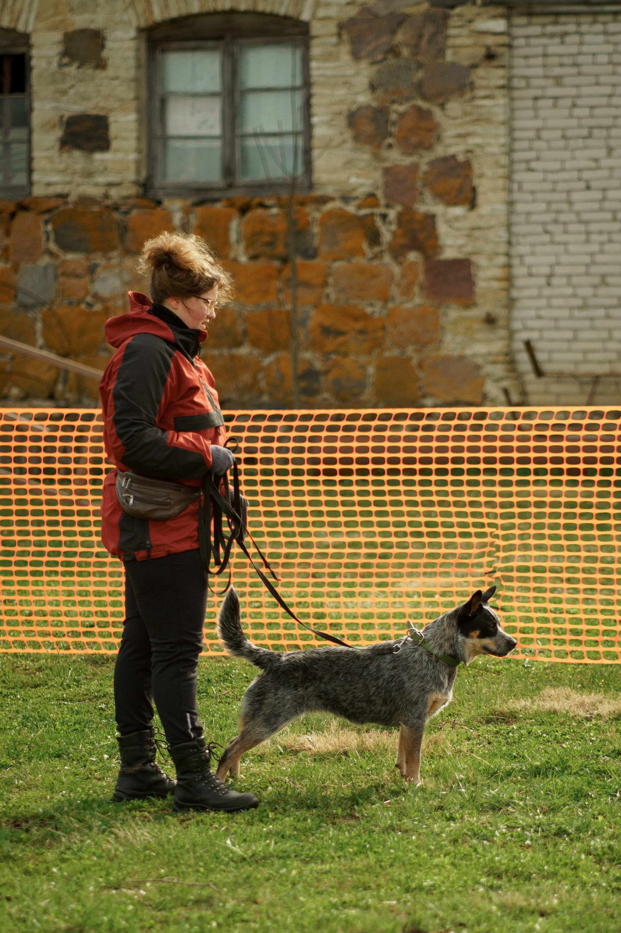 Herding Days, 26 apr. 2025. Kat Laisaar — Pet photographer in Tallinn
