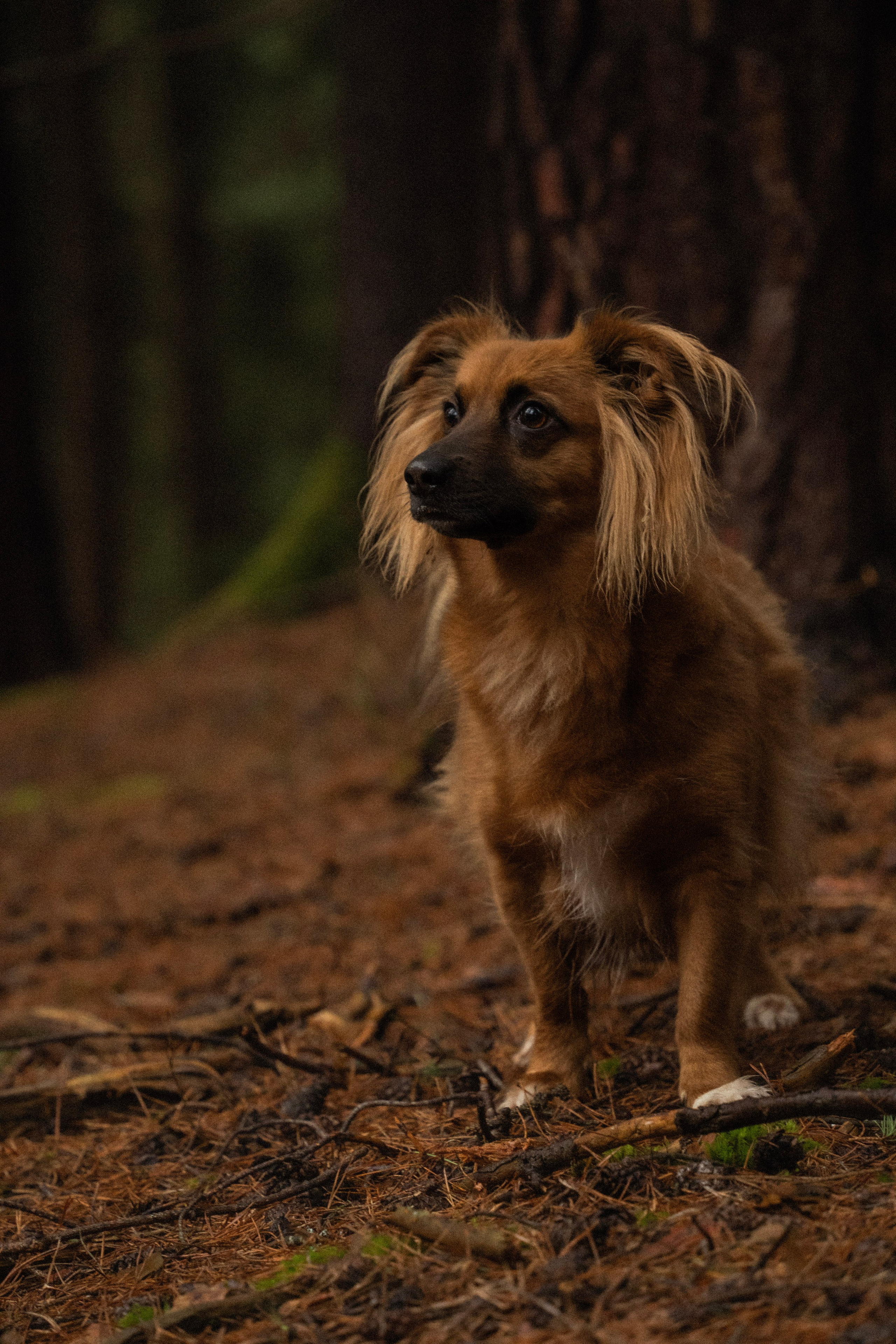 Irina and Oleg. Everwarm Photo and Video Studio