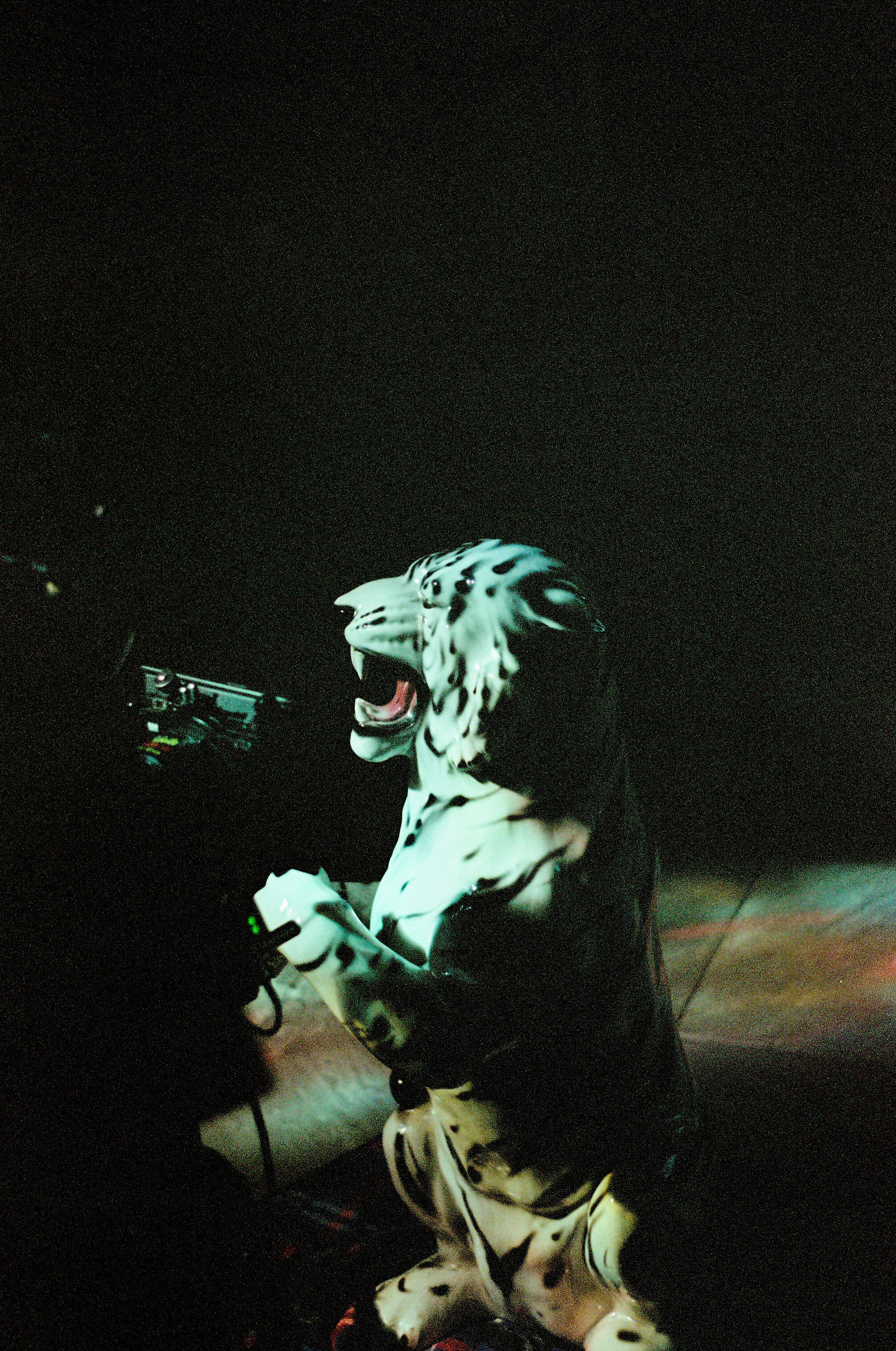 HEART OF GLASS. Versoluna