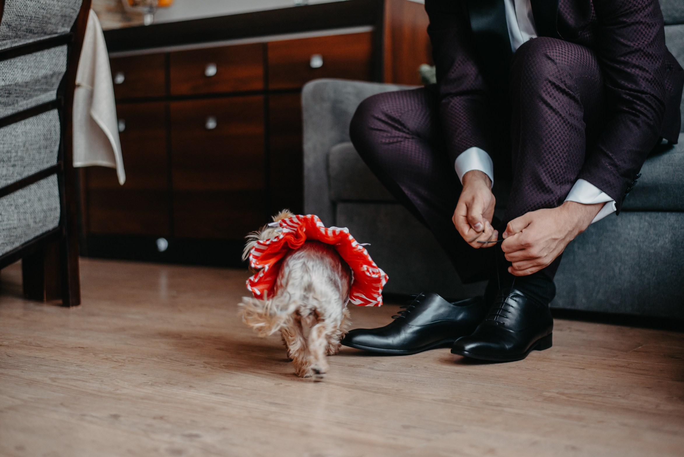 Agnieszka i Dawid. Dominika Strachacka Fotografia | Fotograf ślubny i rodzinny Opole Lubelskie Lublin
