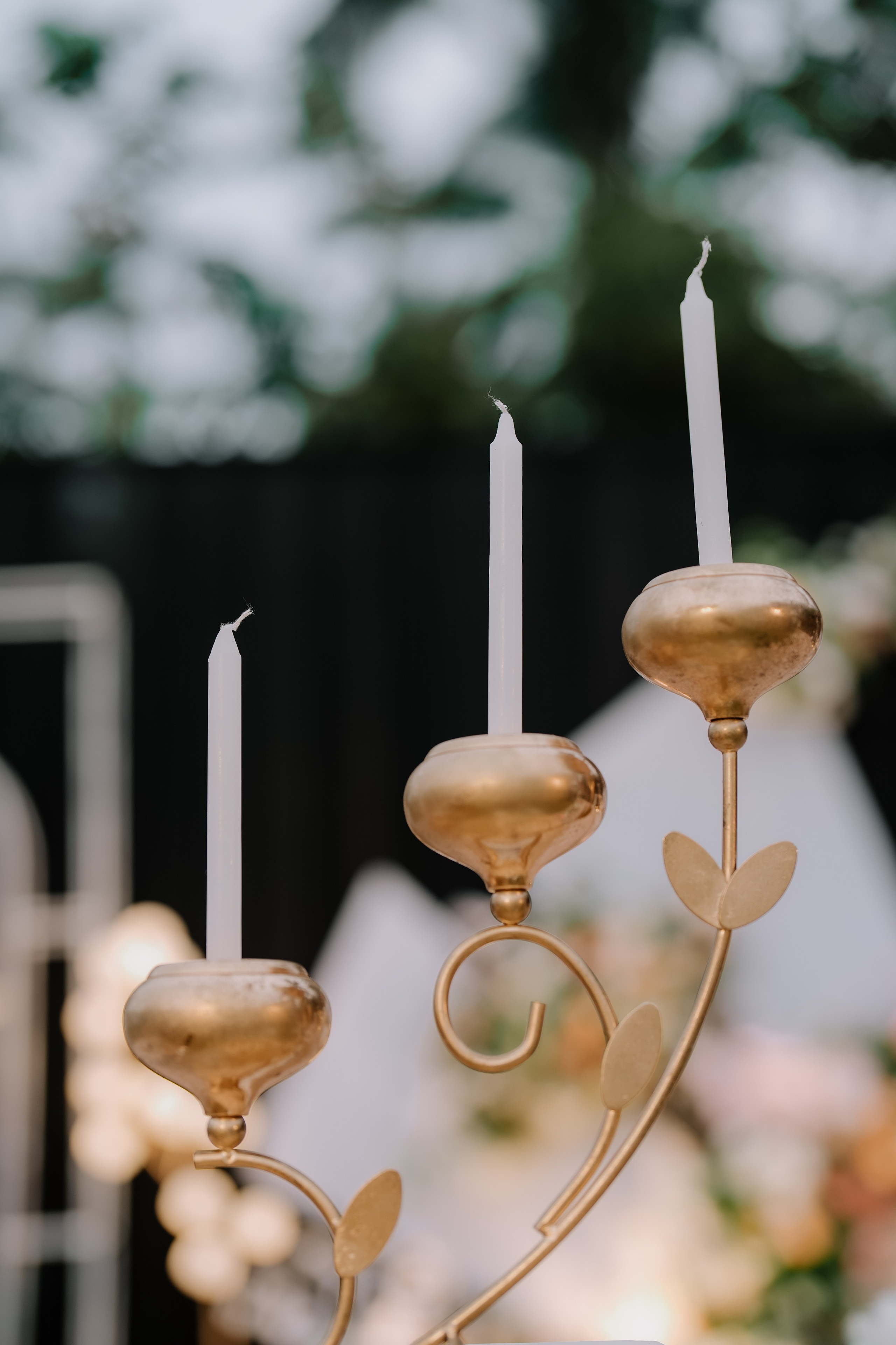 Engagement Ft. Aneesha & Mathew. Fine art Wedding Photographers in India & Canada