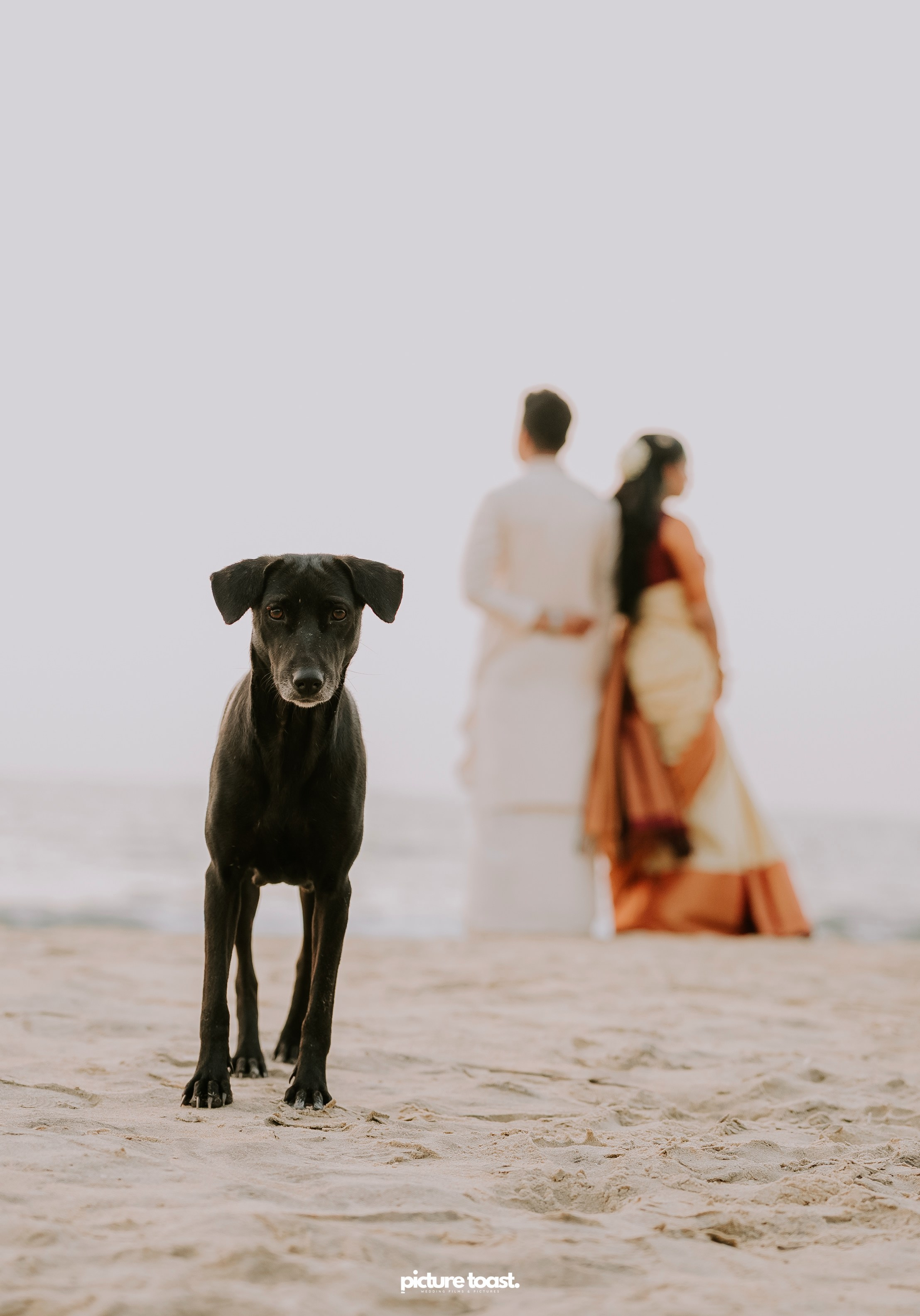 Traditional Kerala Hindu Wedding. Fine art Wedding Photographers in India & Canada