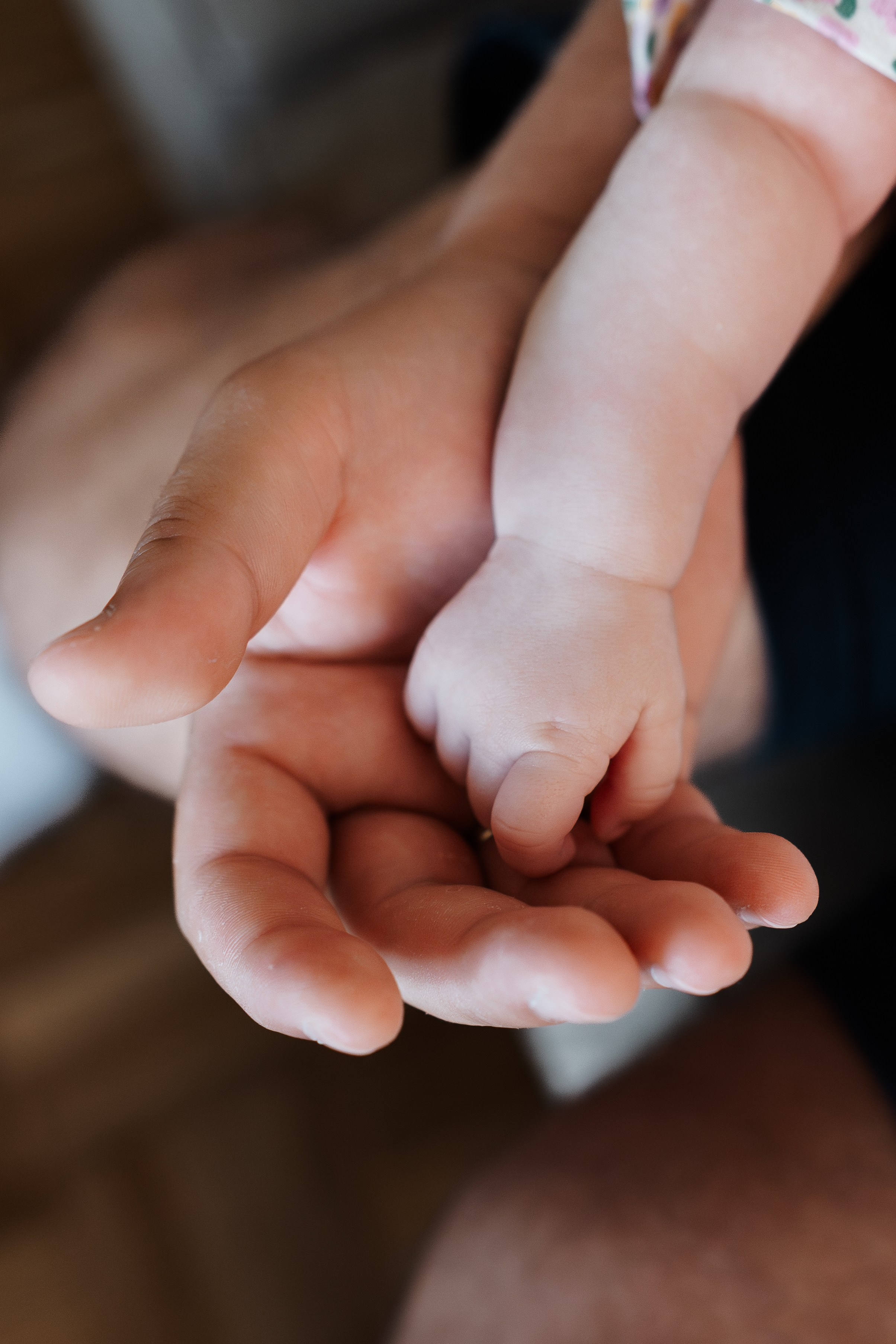 Pet. Profesionalna Fotografija Beograd — Staša Komatina