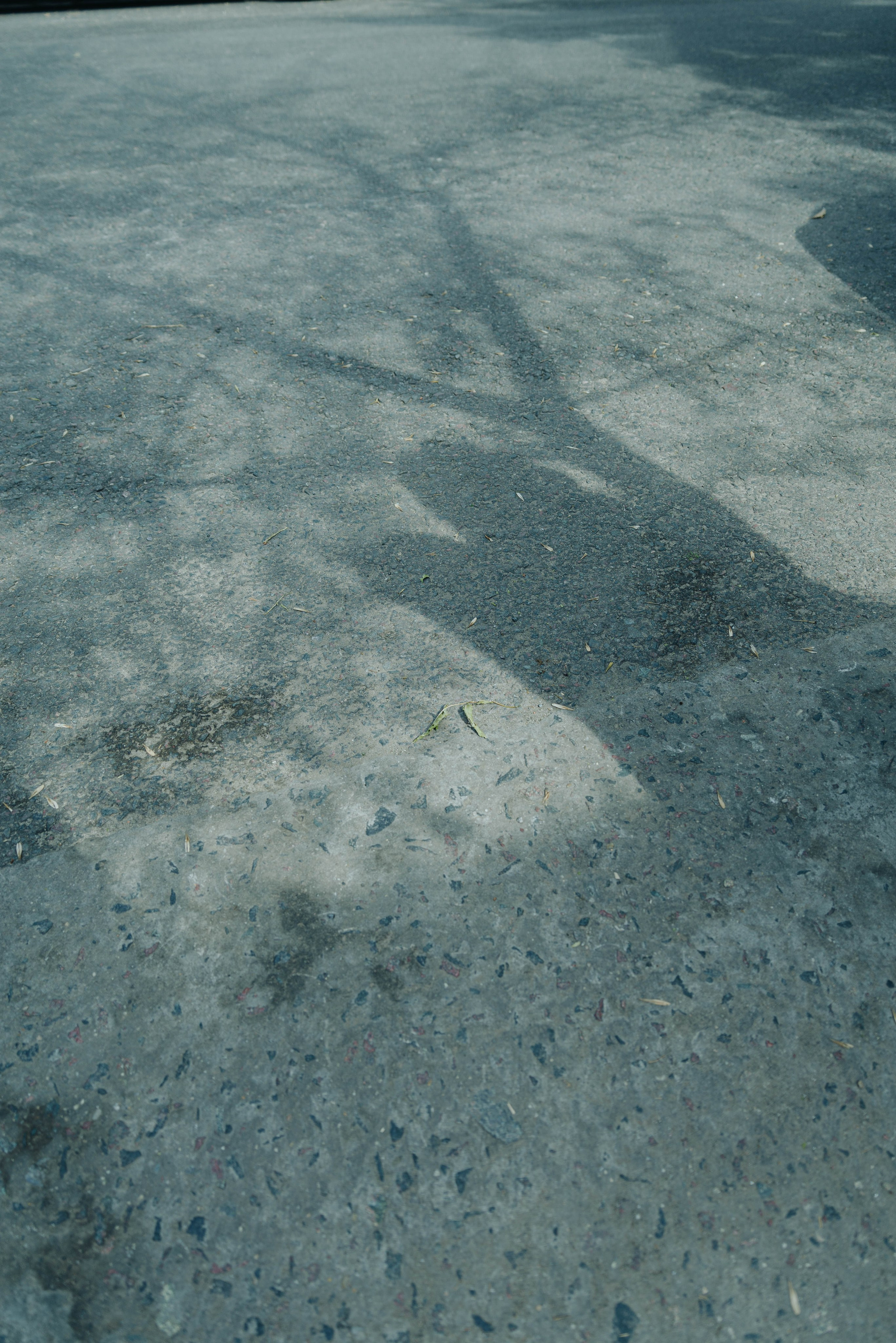 Flea Market Buenos Aires. Photographer @elmirkami in the city of Buenos Aires