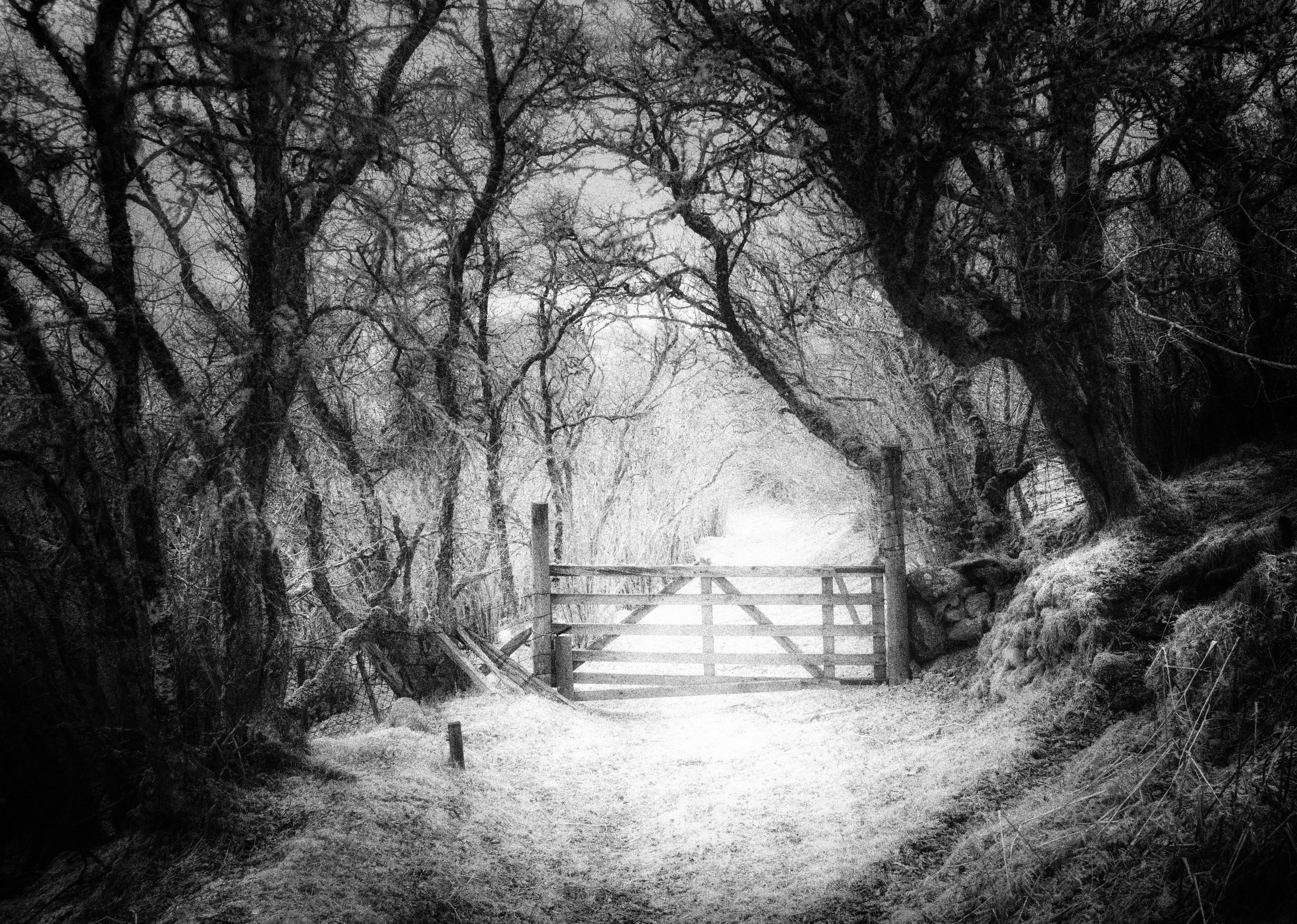 The Land. Infrared Scotland