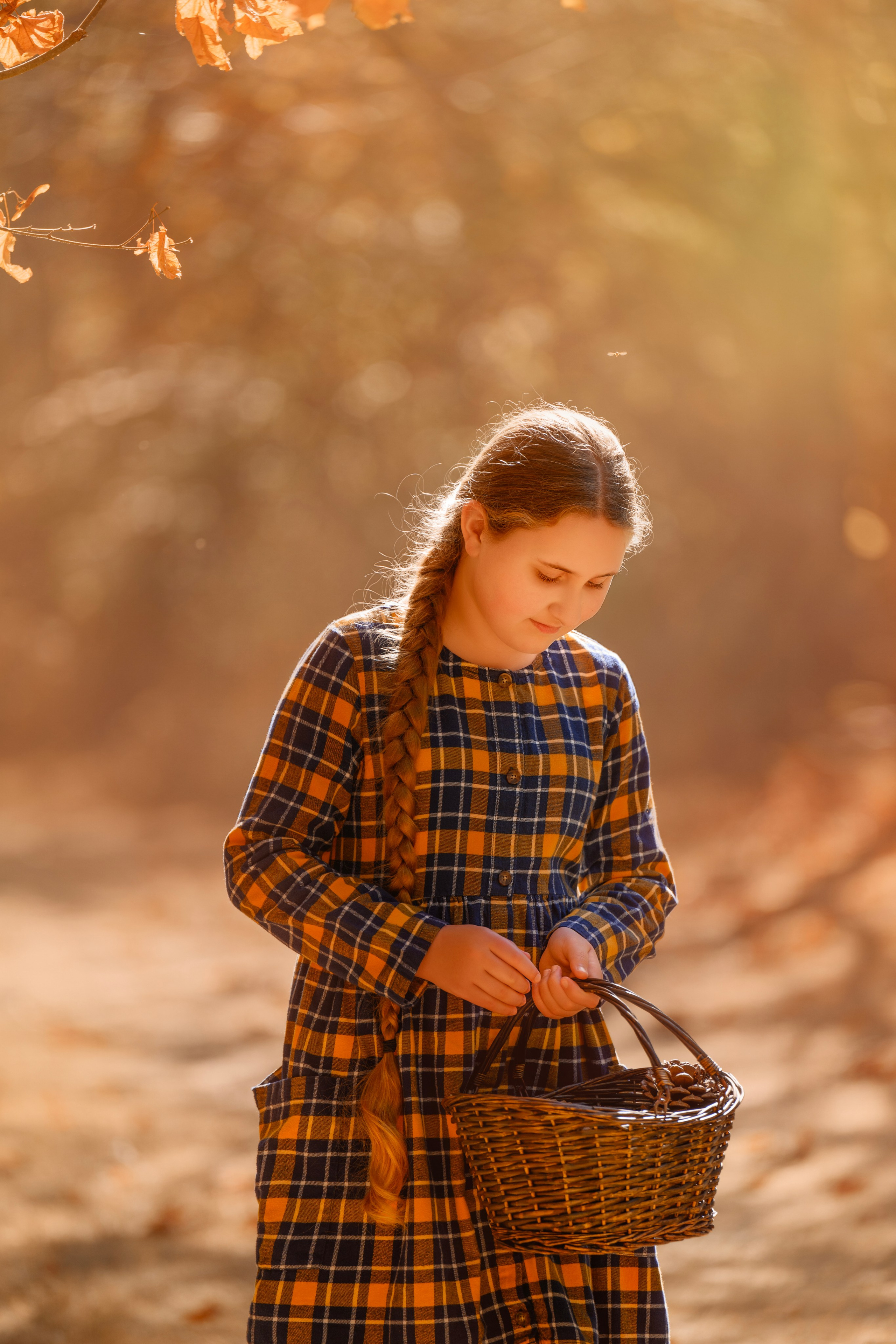 Caity in the autumn forest. Wedding & portrait photography in the Seattle Area. Helen Michelle photographer