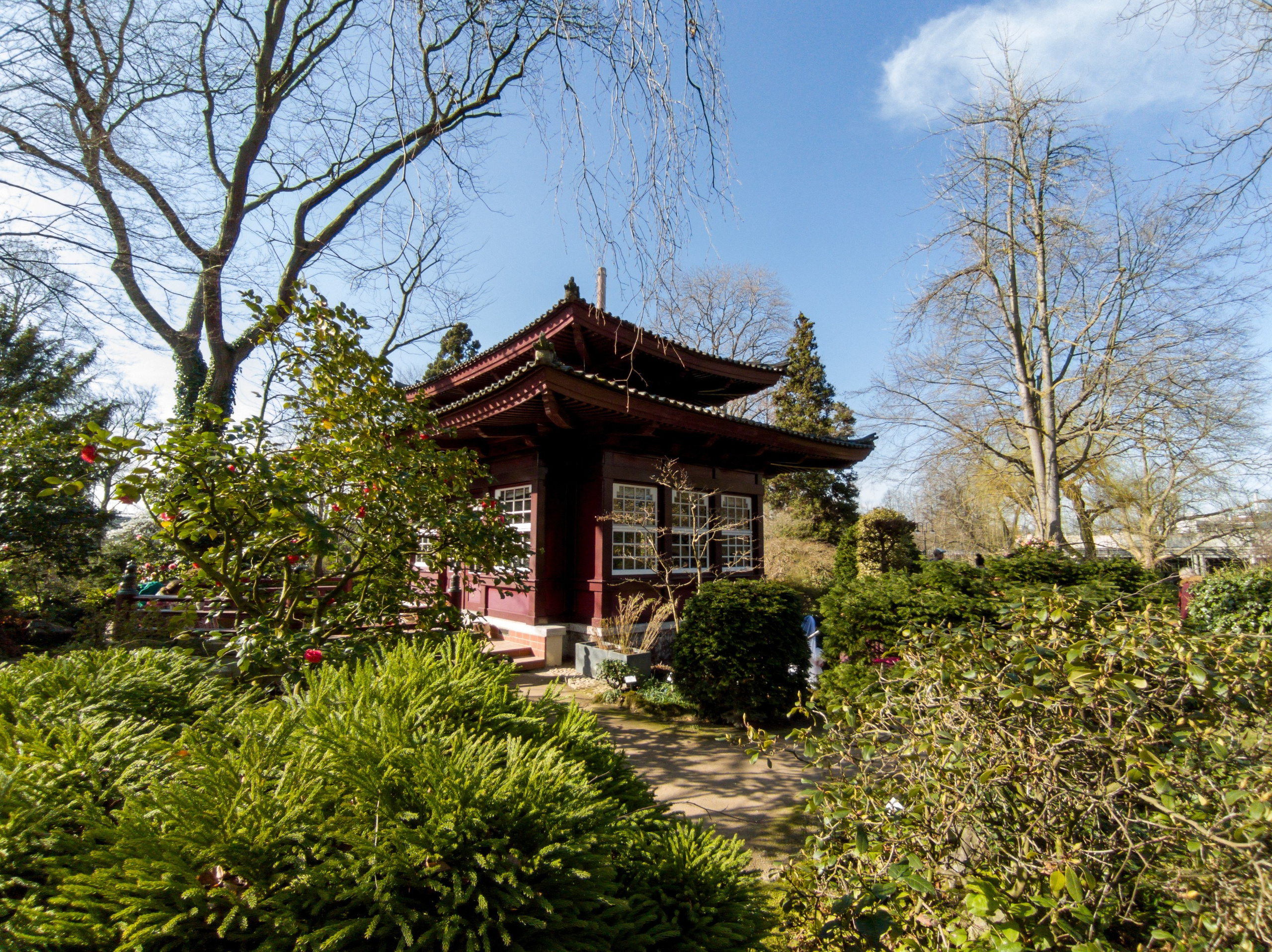Cologne (Germany) Leverkusen. Fotograf in Köln, Bonn, Düsseldorf, Krefeld