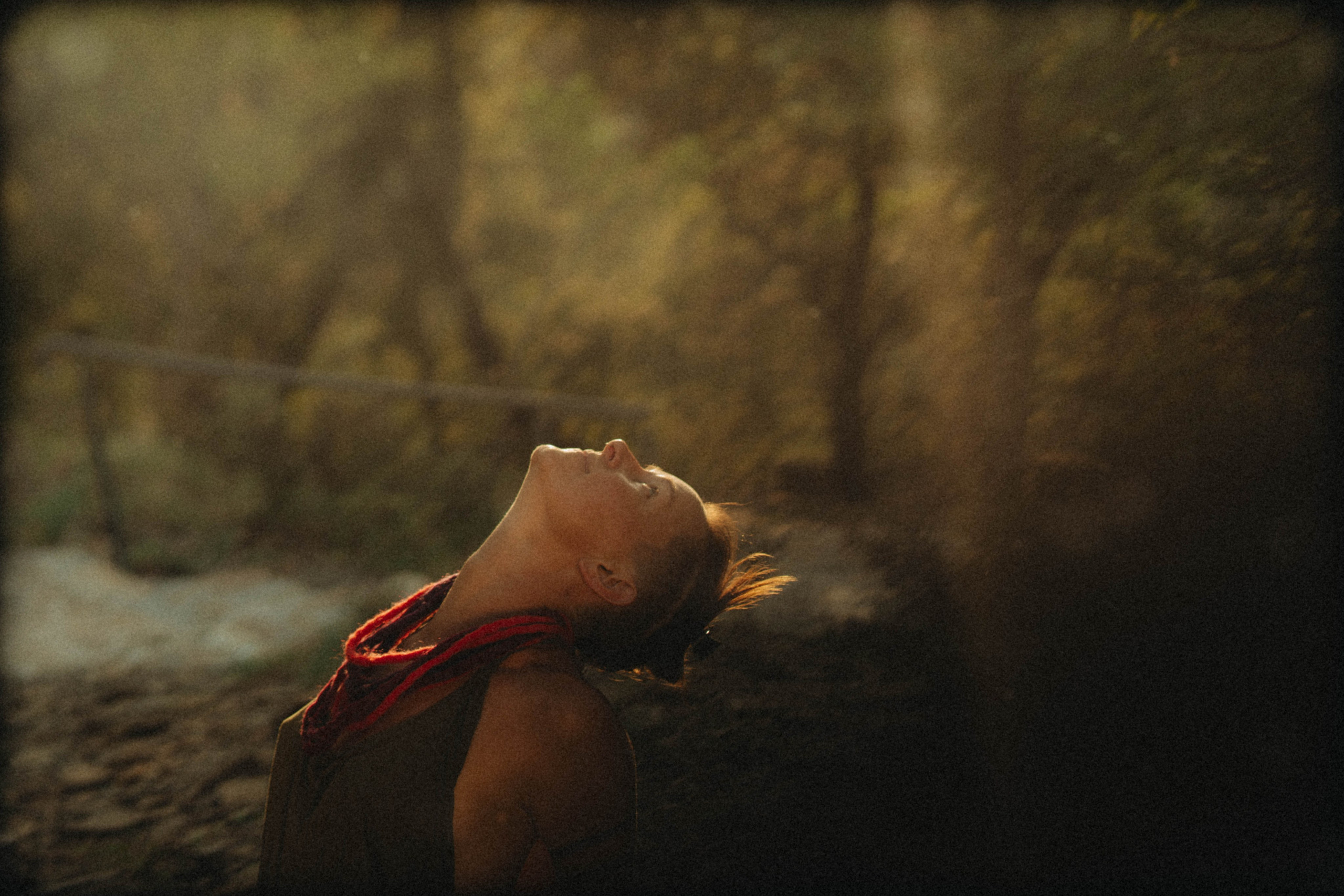 Kinga. Alba del Norte Studio