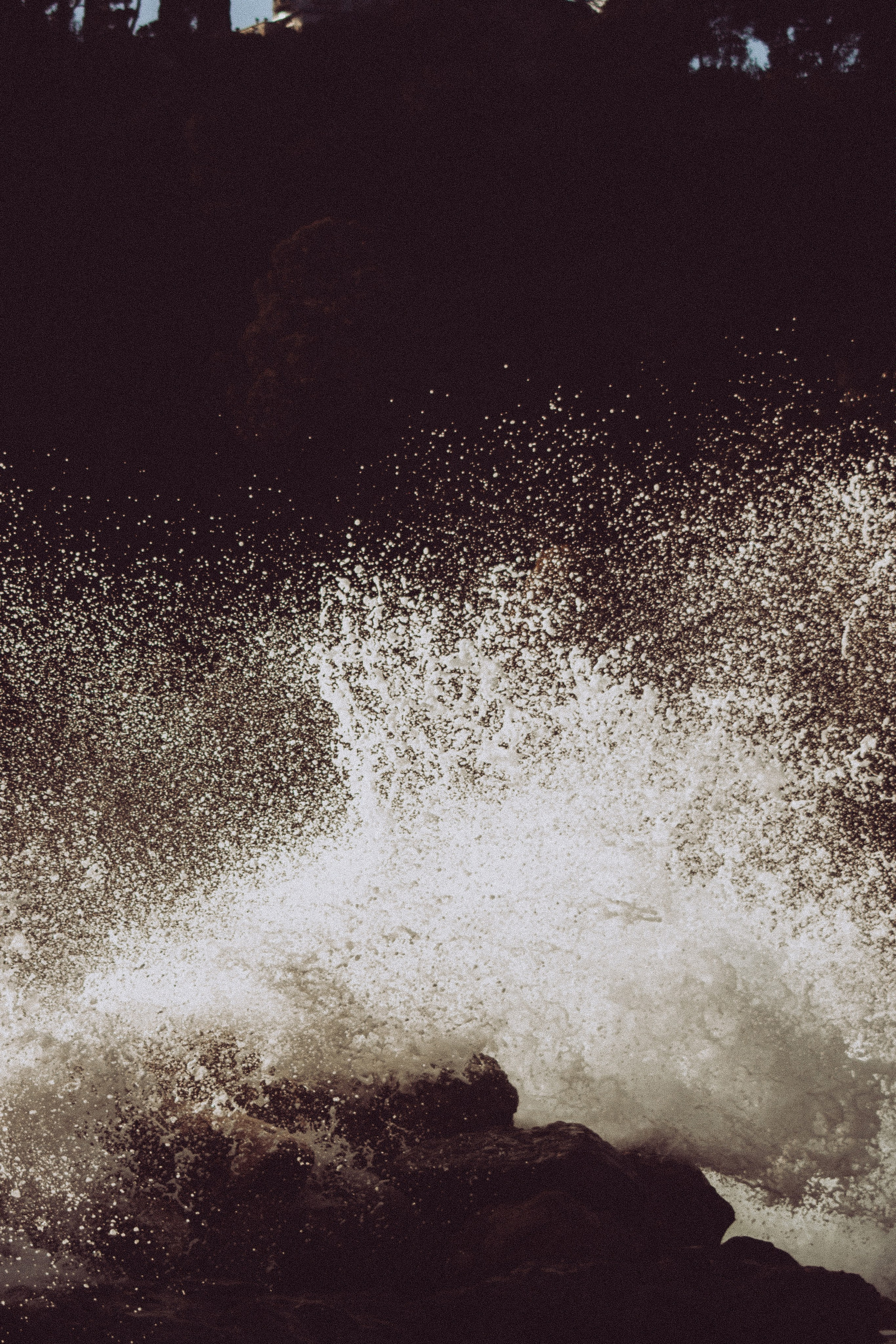 Anse Magaud, Cap Brun, Toulon. Photographe à la Seyne sur Mer, Var