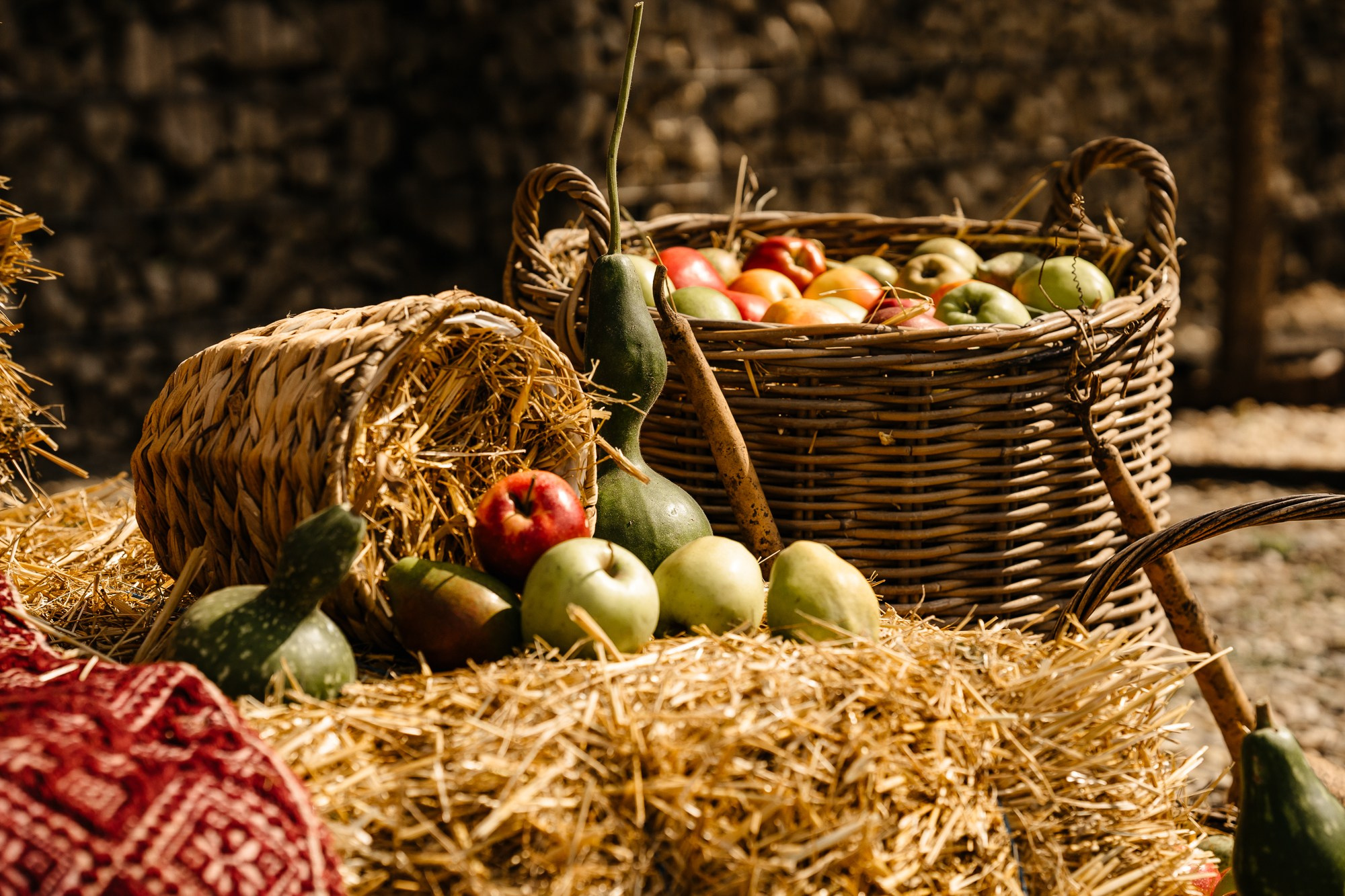 Fotografie Horeca. Fotograf Corporate Business