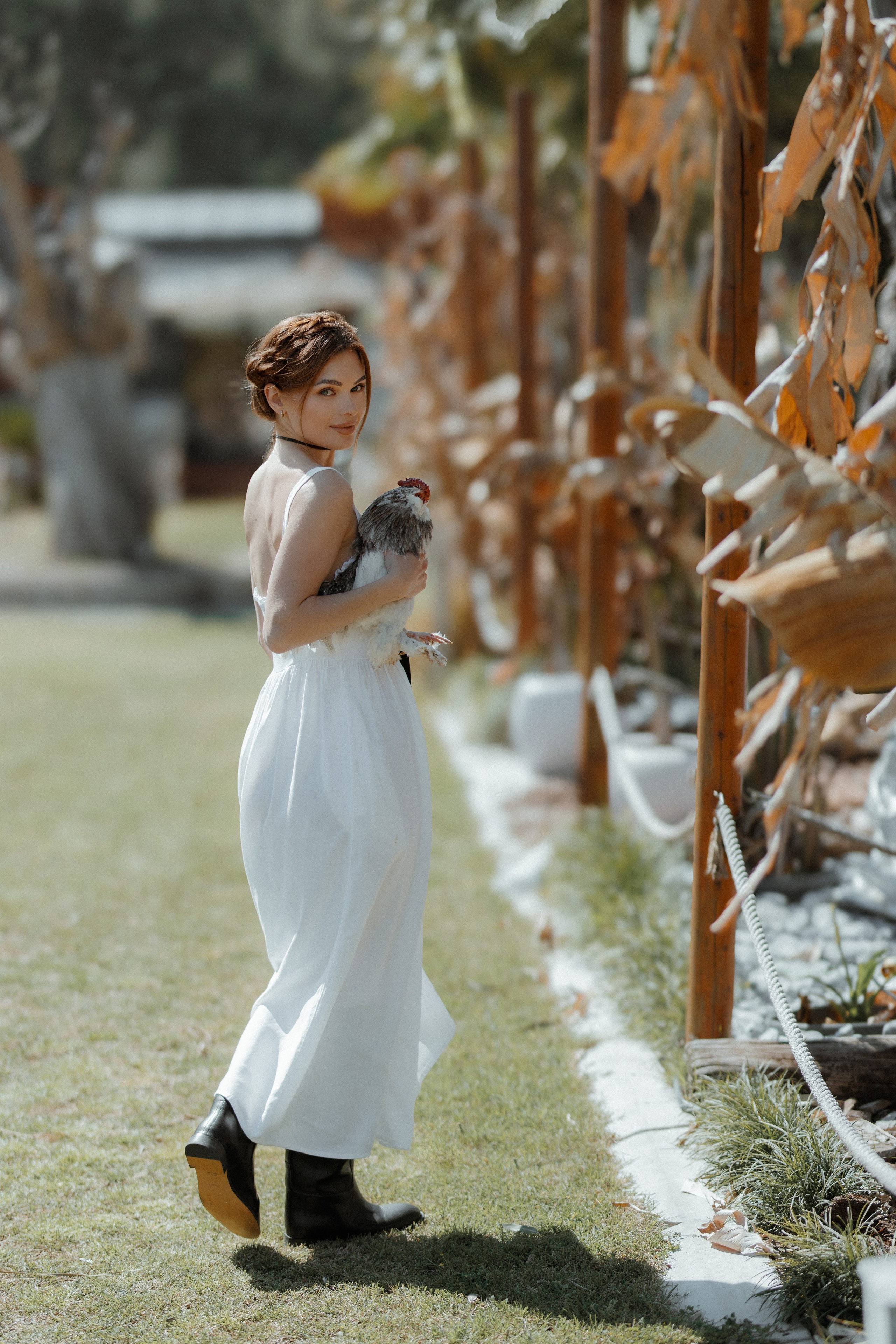 Курица. Фотосессия с курицей. Фото с курицей. Kemer Butiq garden. Локации в Кемере. красивые Локации в Кемере.Локации в Кемере для фотосессии. Локации в Кемере с курицей. Локации в Кемере турция.