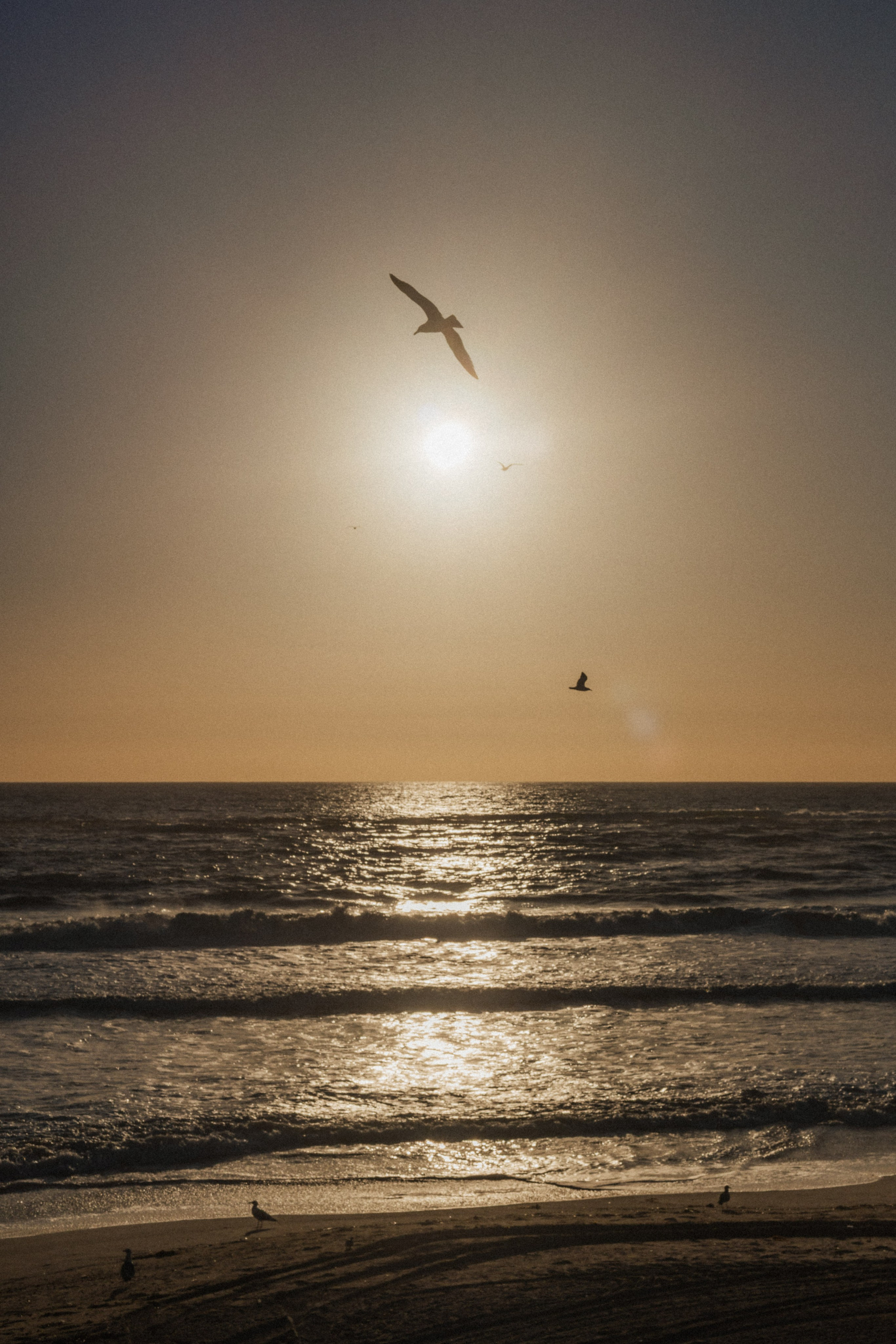 Los Angeles. Aleks.photo | Book a photoshoot