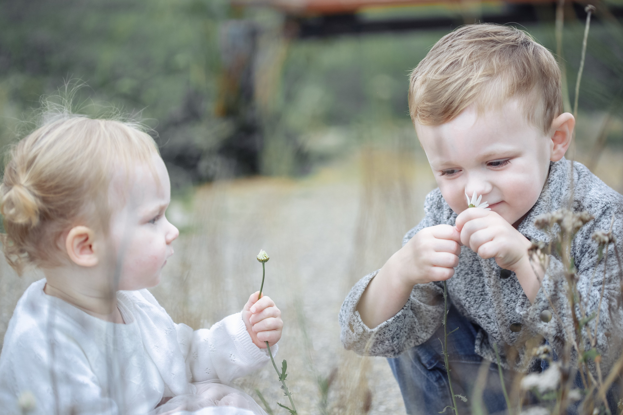 Orna & Colin, Charlie & Hailey. Wedding and family photographer in Cork, Ireland. Tigran