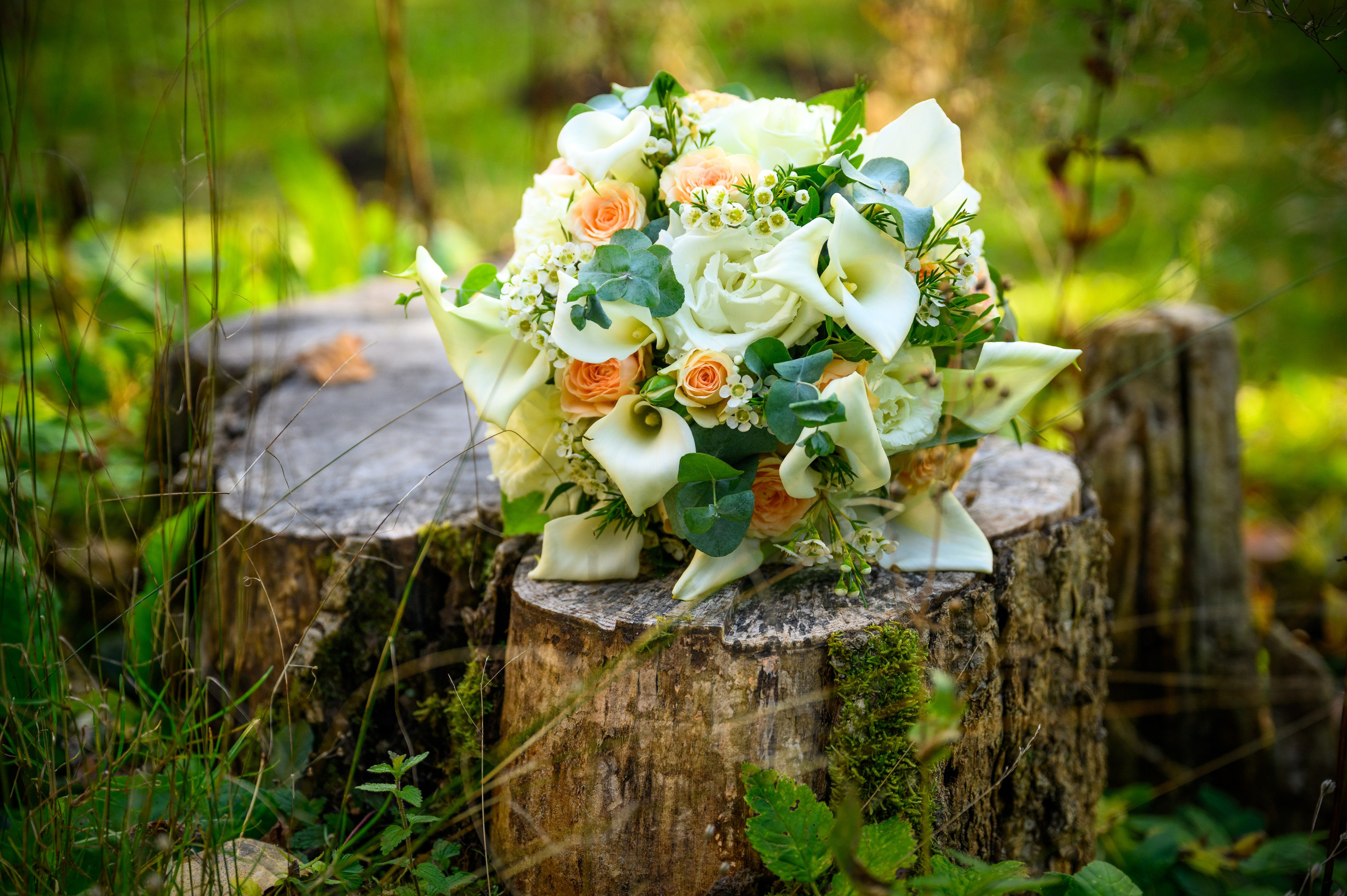 Ritvars Pujats Emotion Photographer