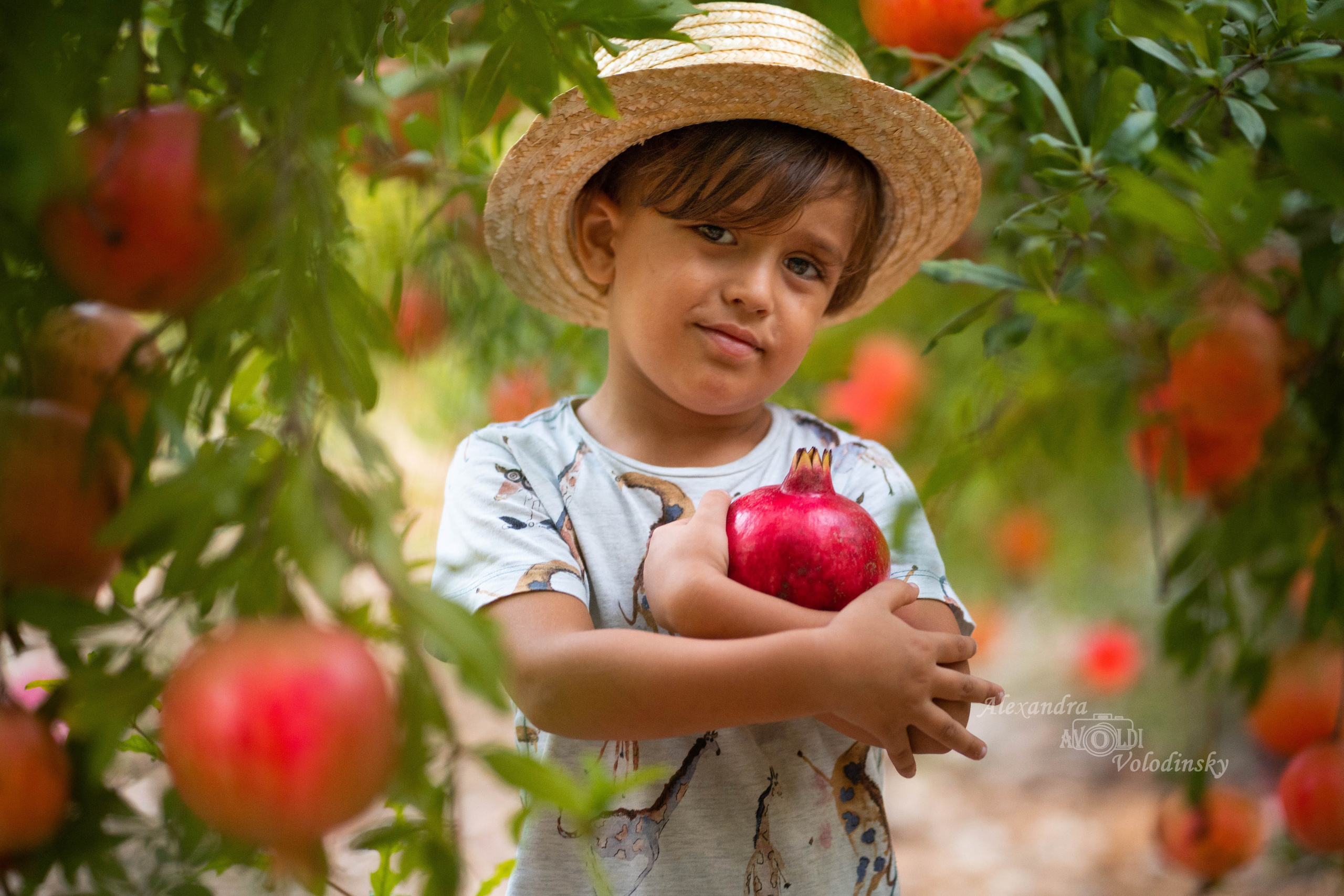אלכסנדרה — צלמת מקצועית של משפחה, ילדים, אופנה וסרטוני תדמית