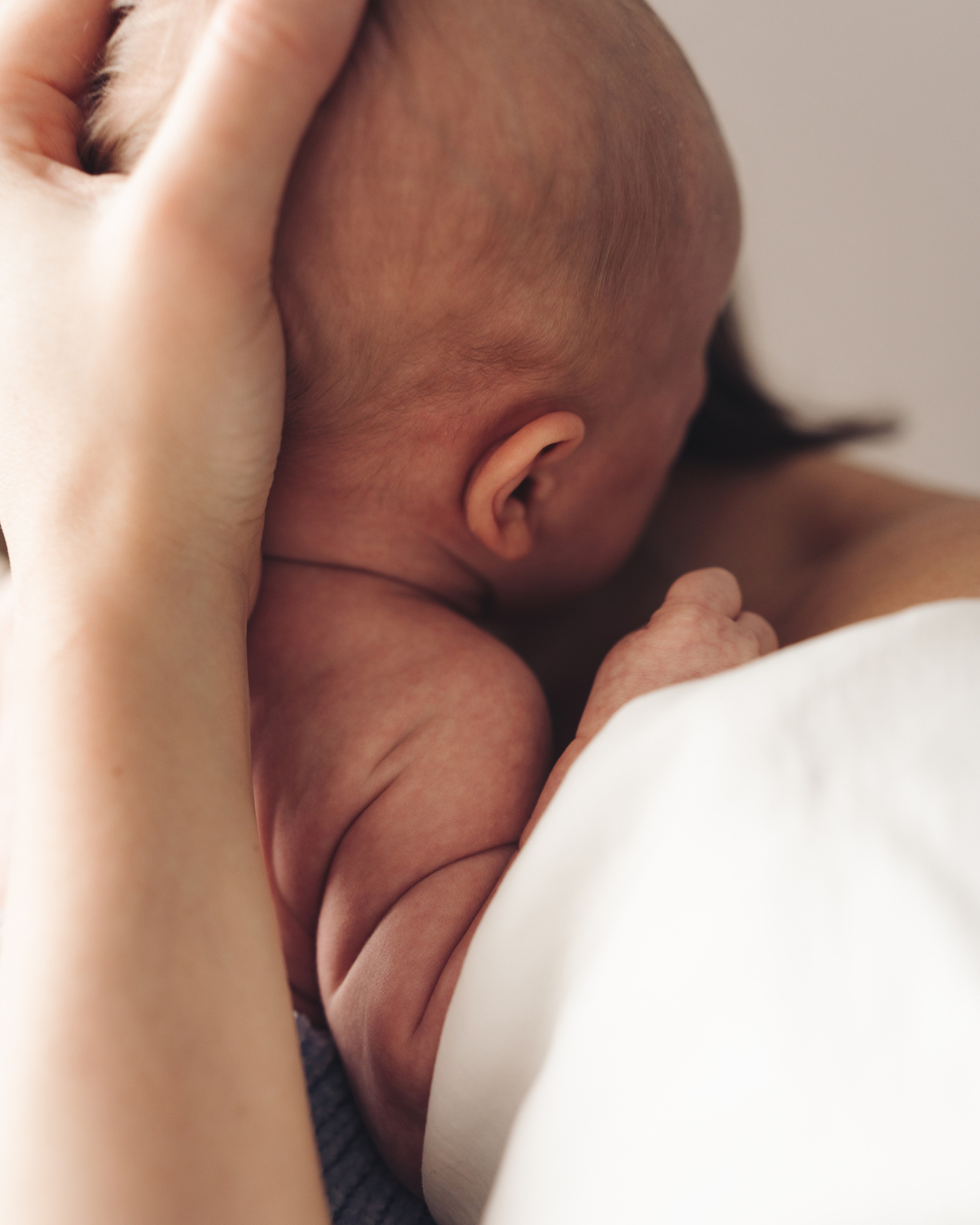 Welcome to the World. Dash_photopic.I’m Daria New York based photographer